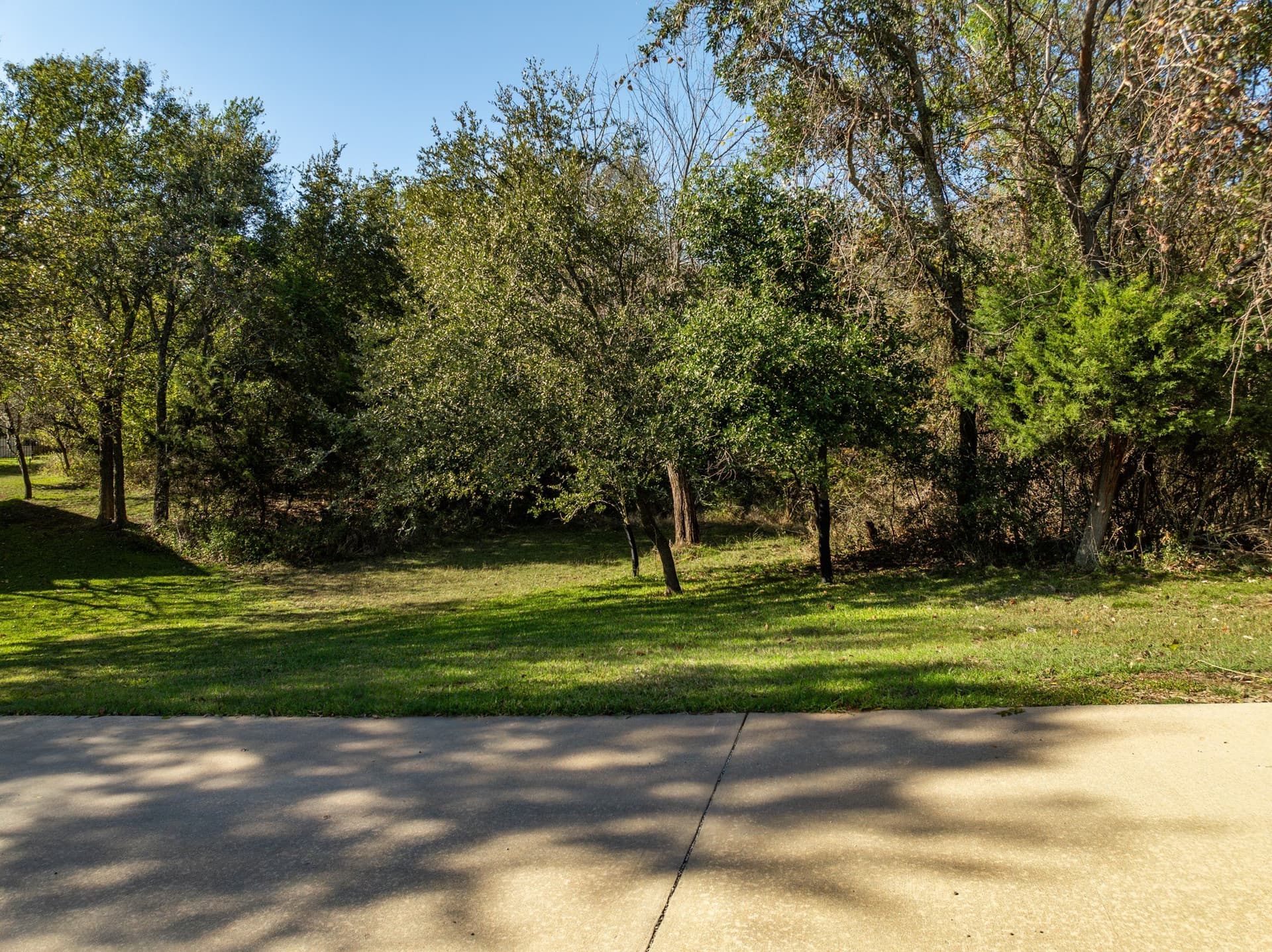 0.31 acres in Hill County - photo 4
