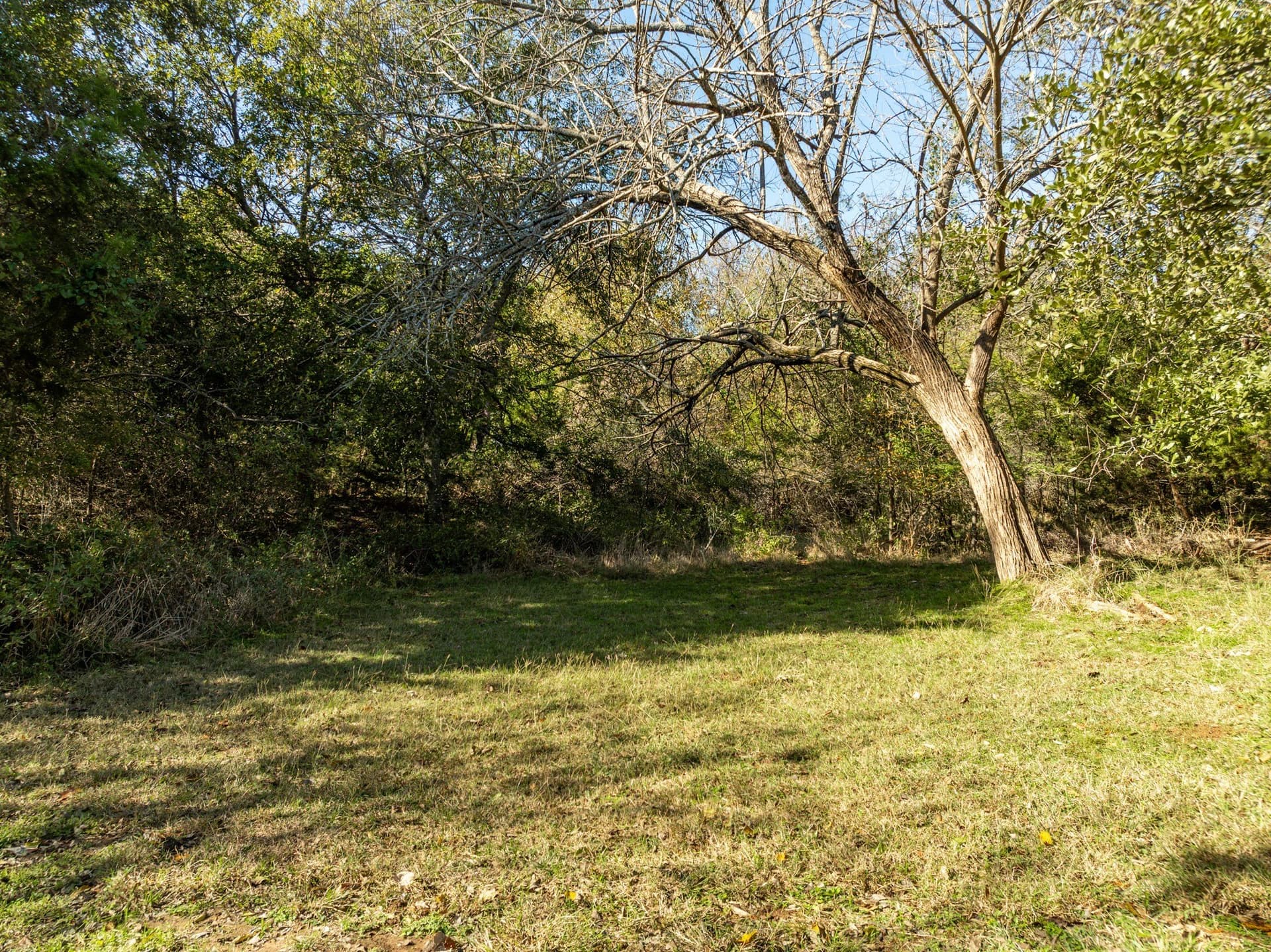 0.31 acres in Hill County - photo 2