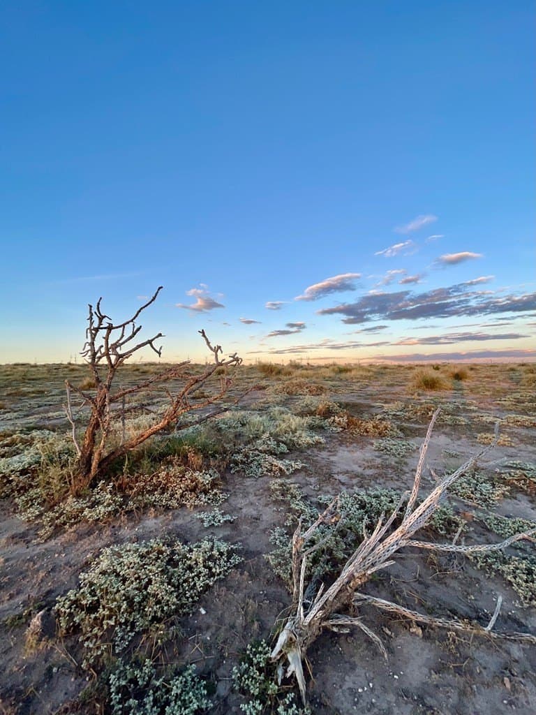 5 acres in Presidio County featured view