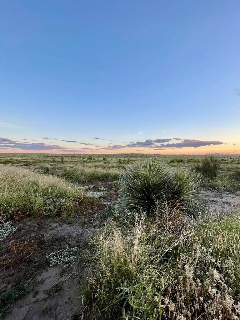 5 acres in Presidio County