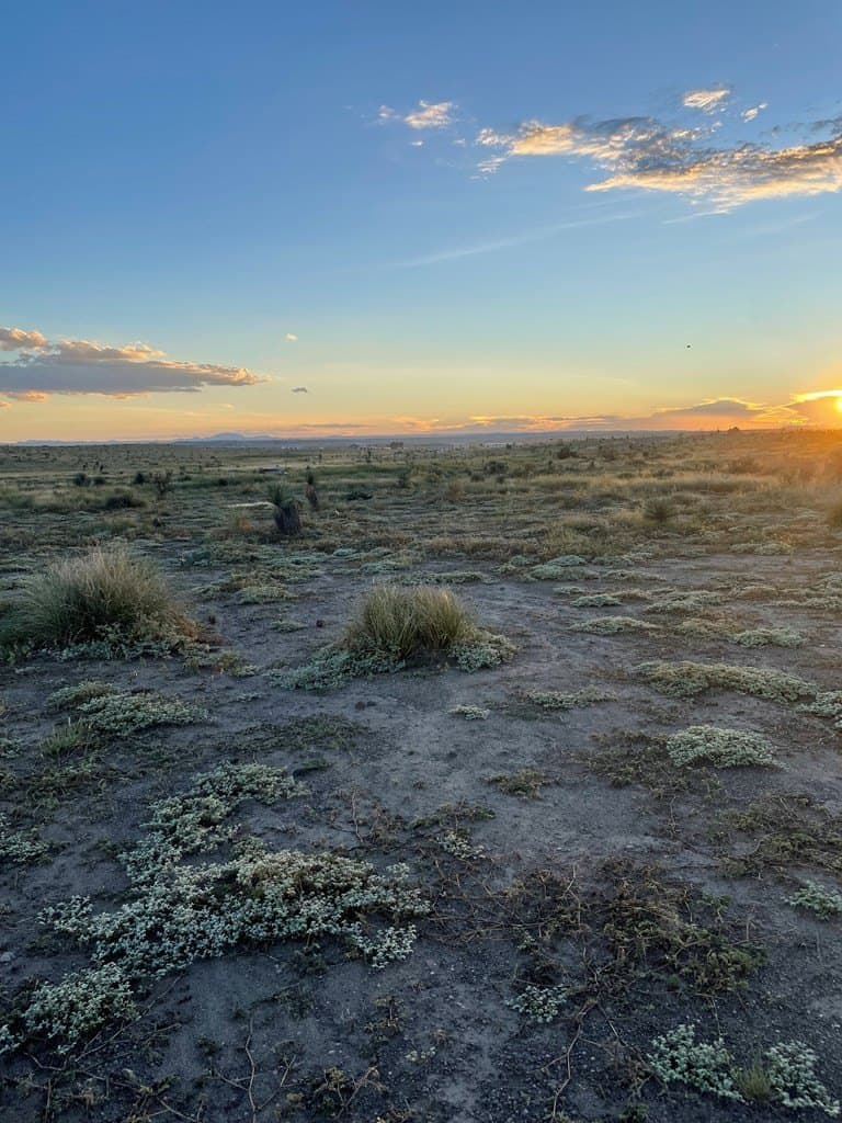 5 acres in Presidio County gallery image 2