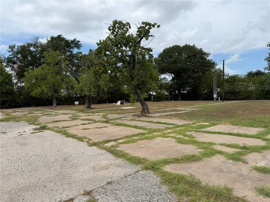 0.44 acres in Brazos County - photo 11