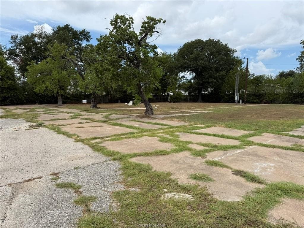 0.44 acres in Brazos County - photo 3