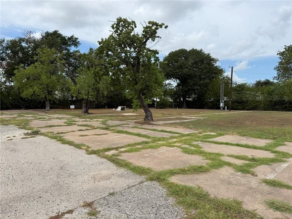 0.44 acres in Brazos County - photo 9