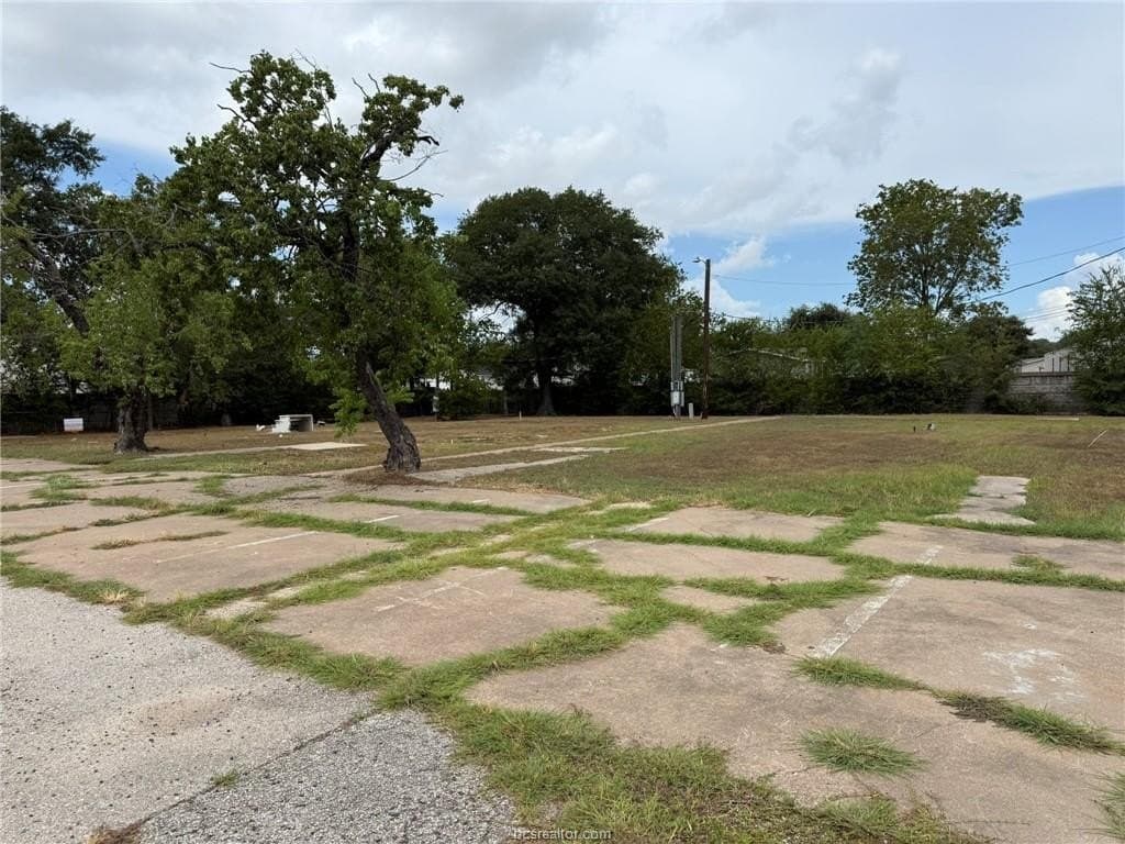 0.44 acres in Brazos County - photo 10