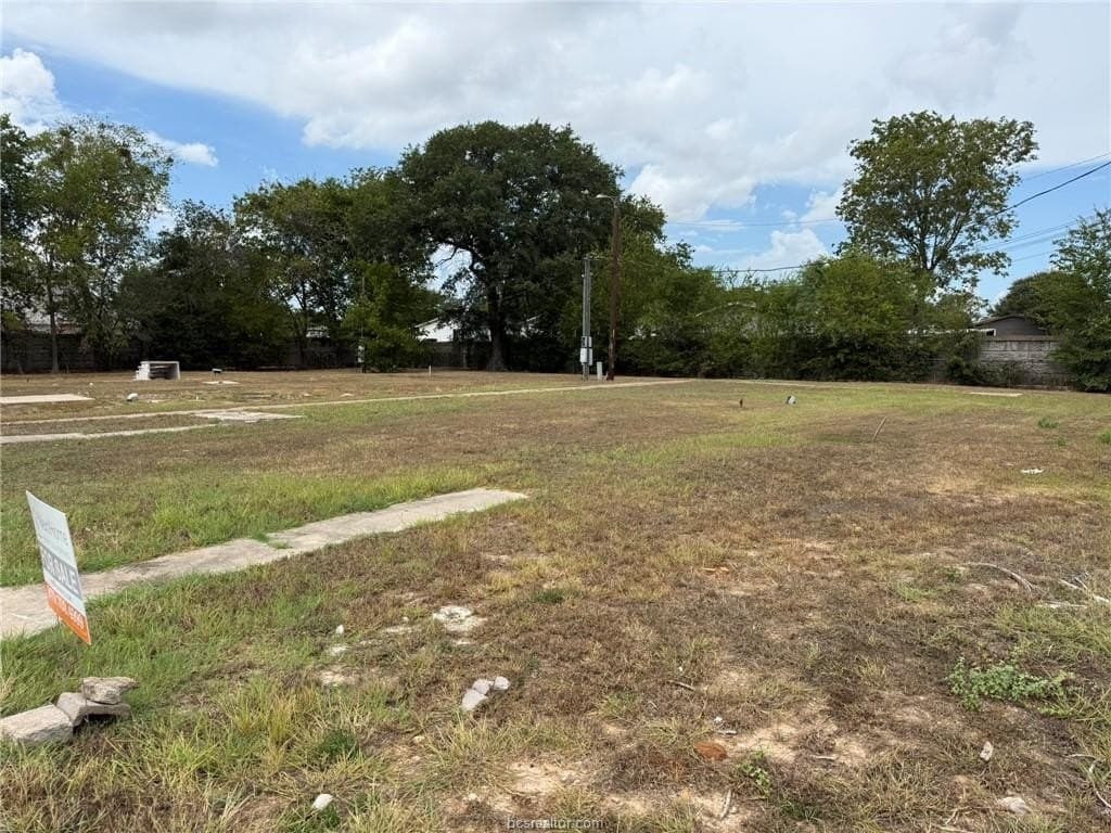 0.44 acres in Brazos County - photo 5