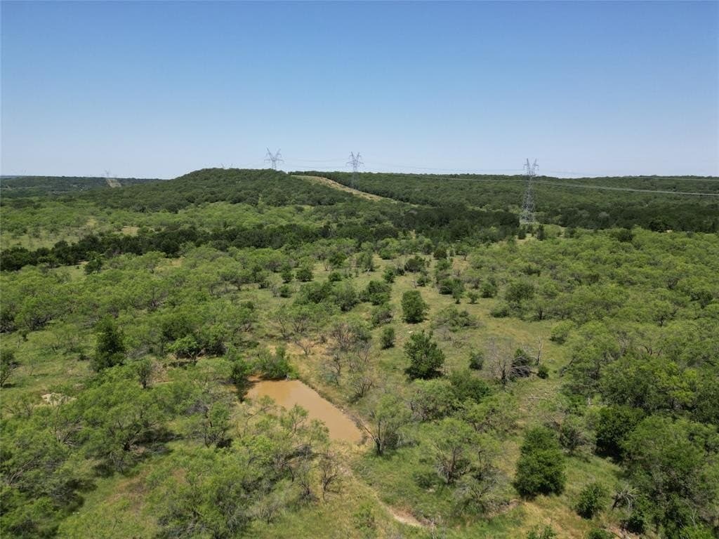 232 acres in Jack County gallery image 3