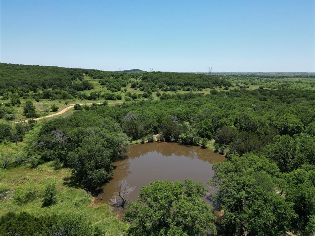 232 acres in Jack County gallery image 4