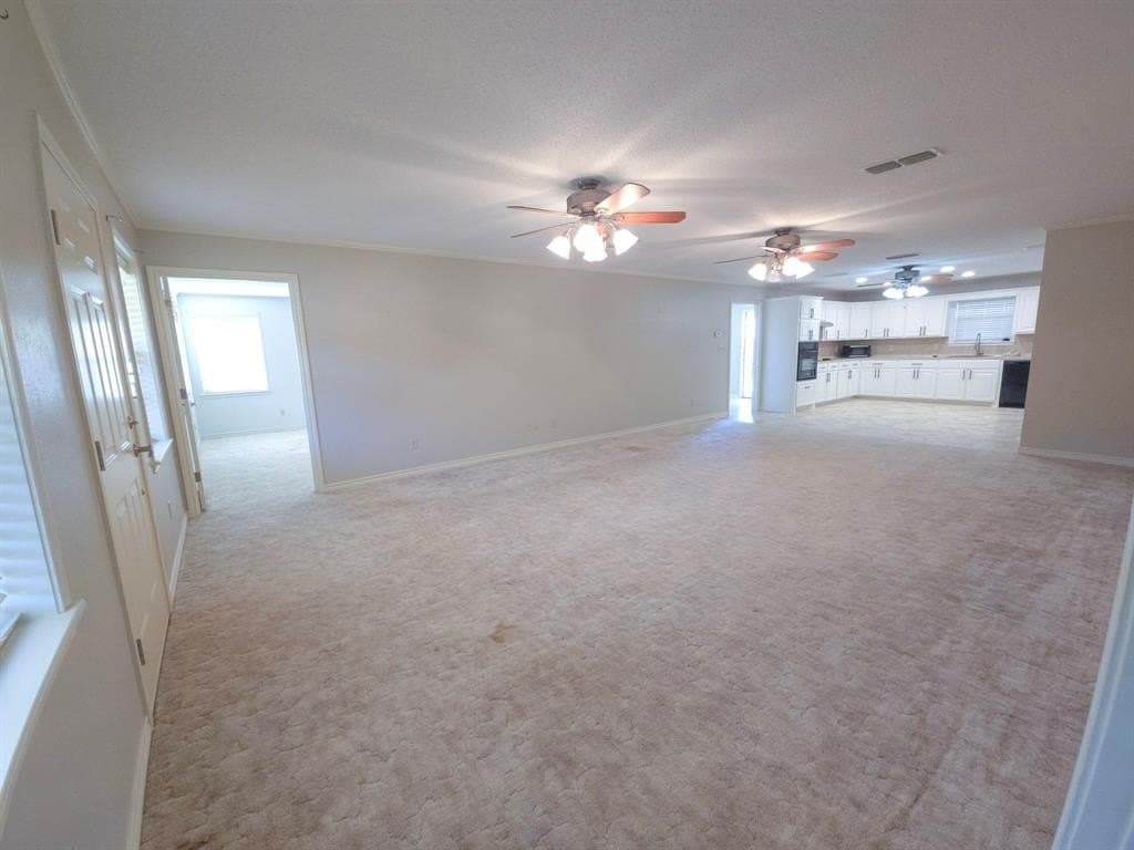 20 acres in Shelby County gallery image 4