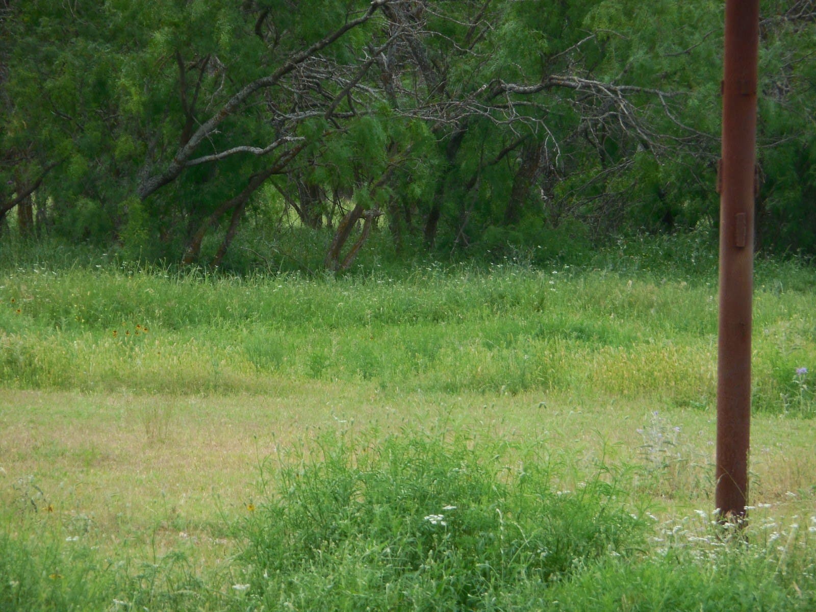 22.34 acres in Eastland County - photo 16