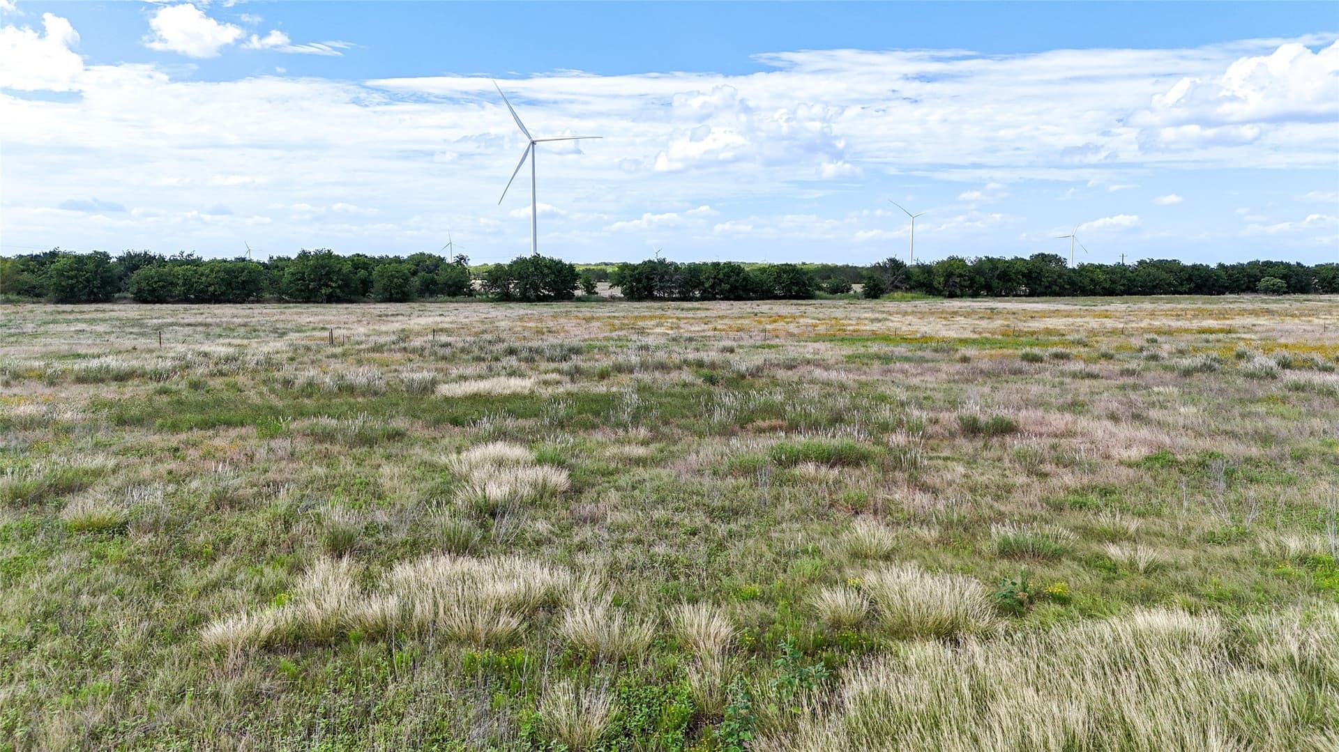 10 acres in Hill County - photo 10