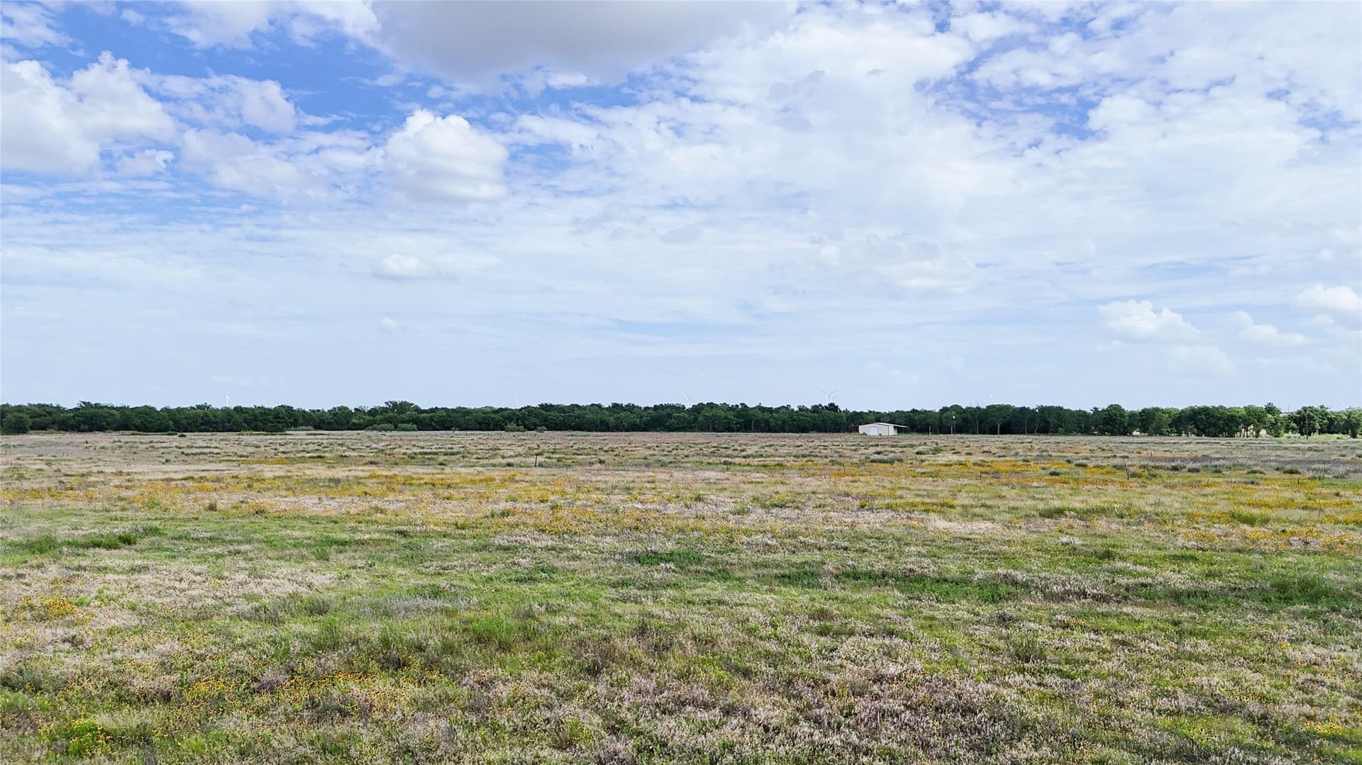 10 acres in Hill County - photo 15