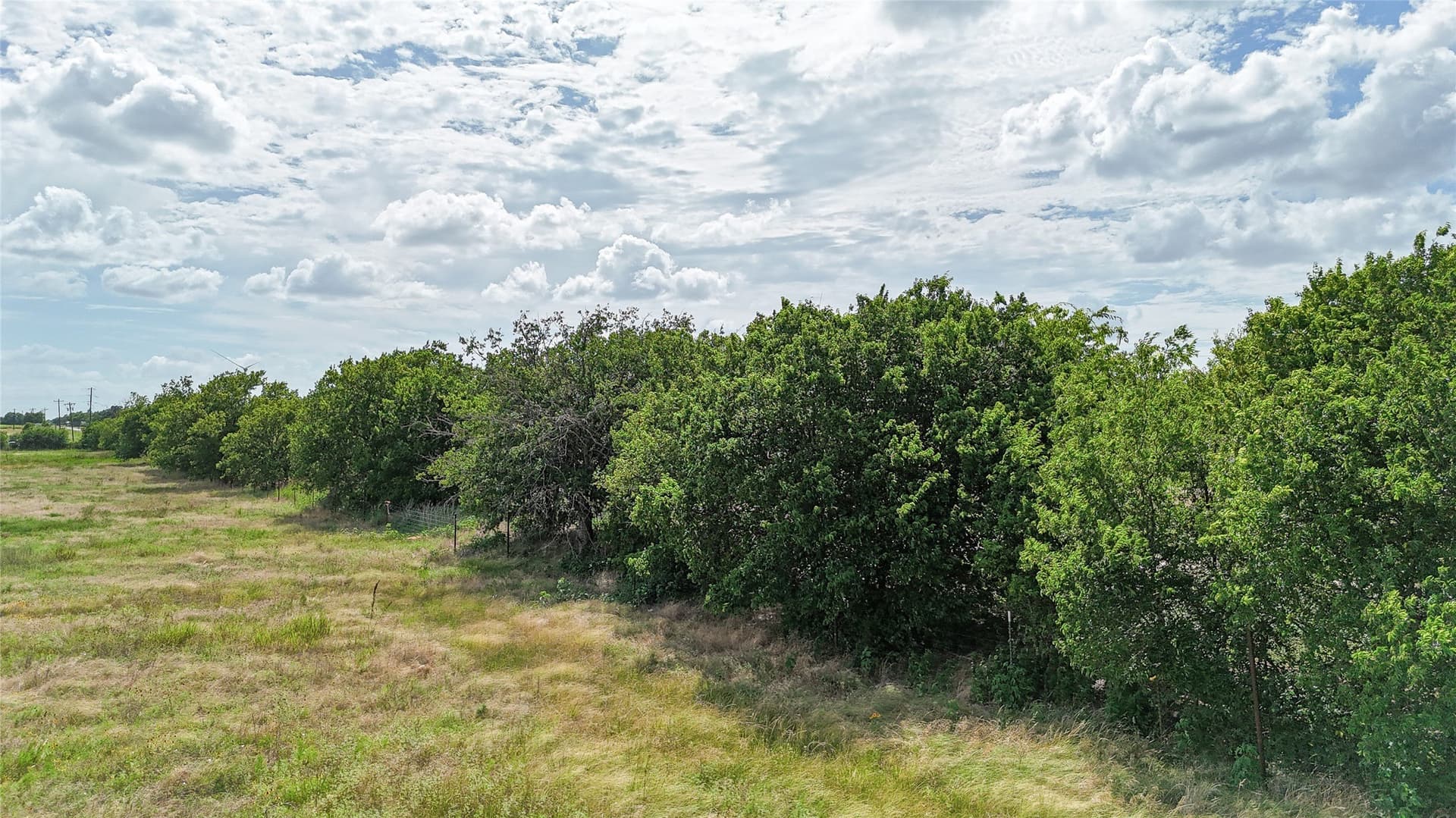 10 acres in Hill County - photo 16