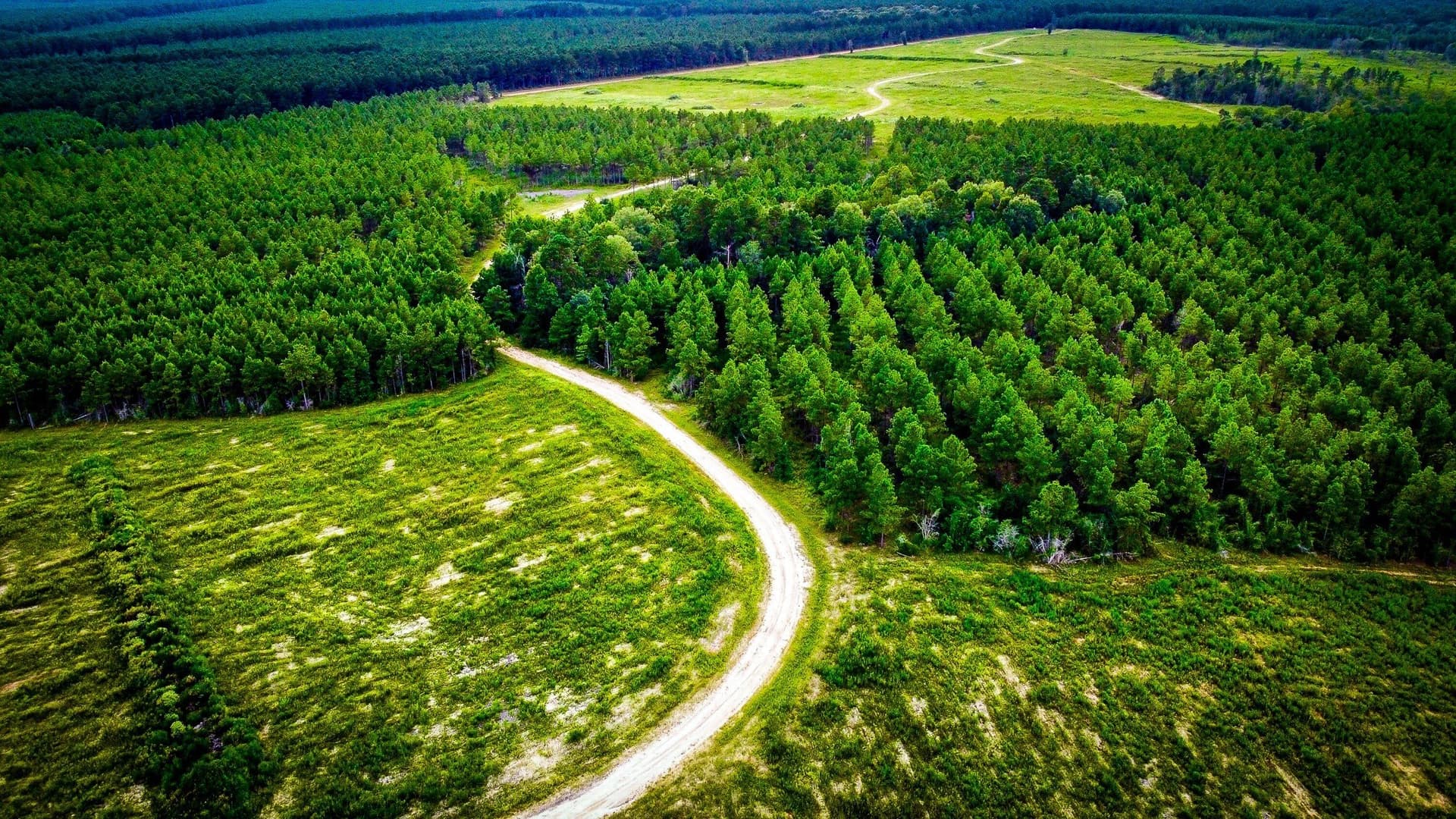 148 acres in Polk County