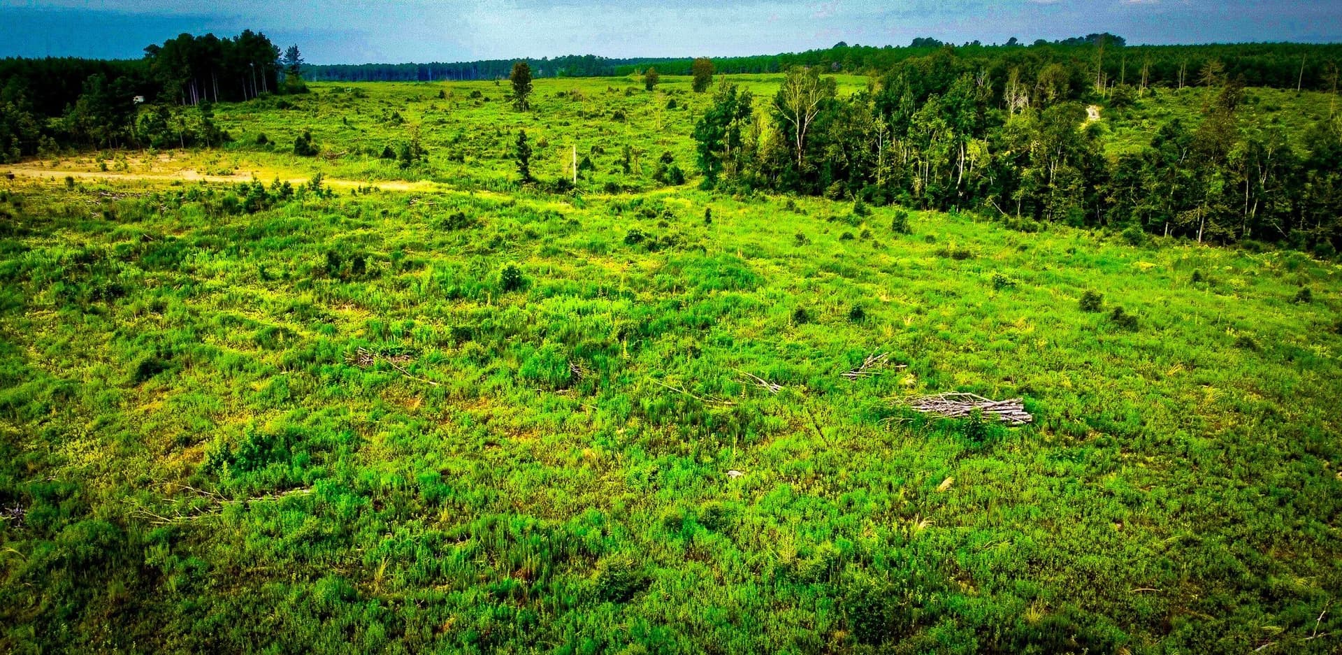 148 acres in Polk County - photo 28