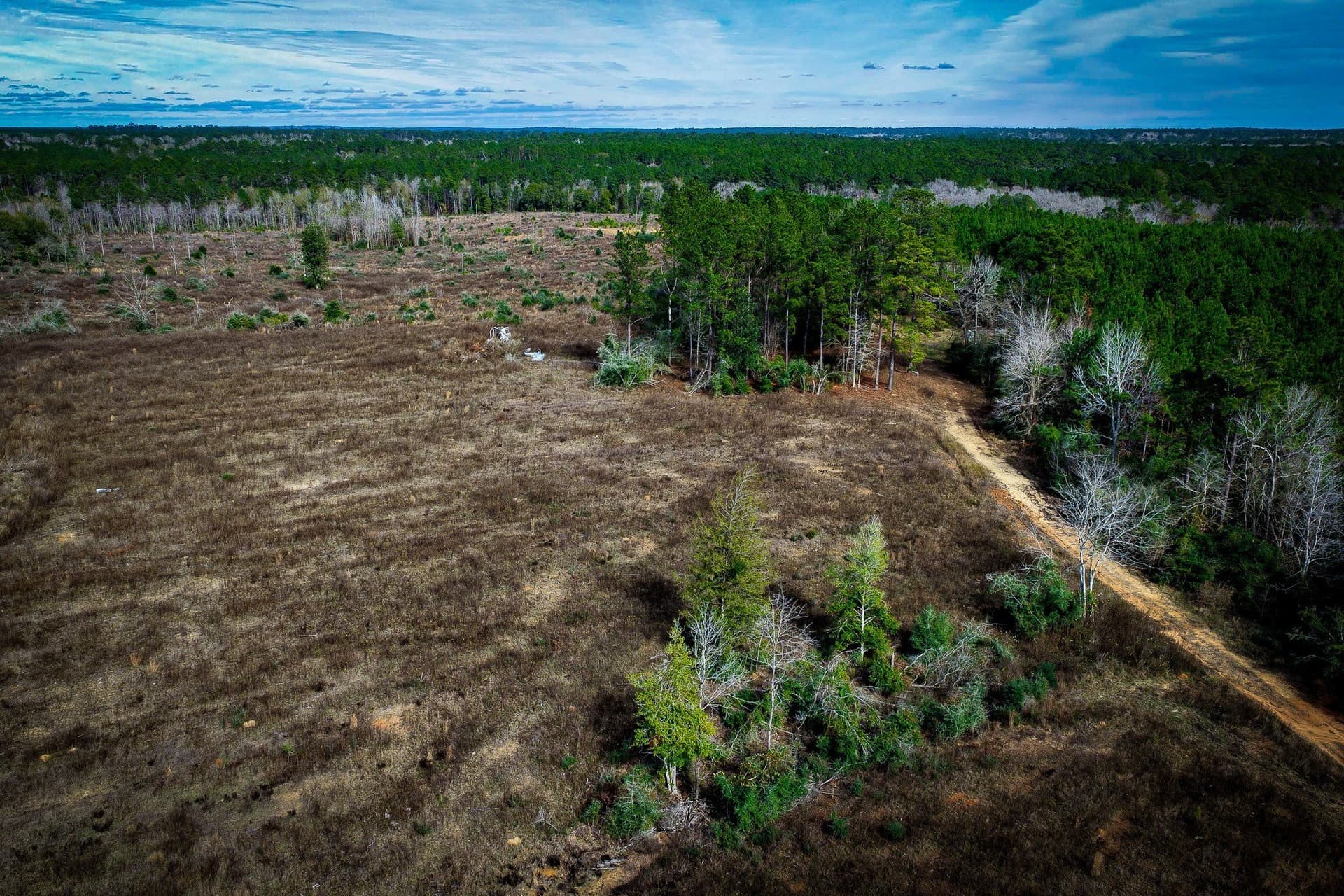 148 acres in Polk County - photo 25