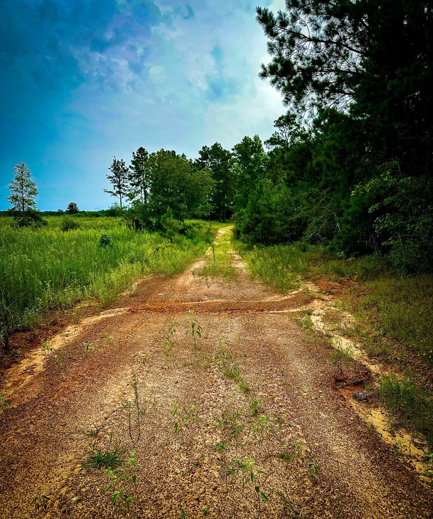 148 acres in Polk County - photo 36