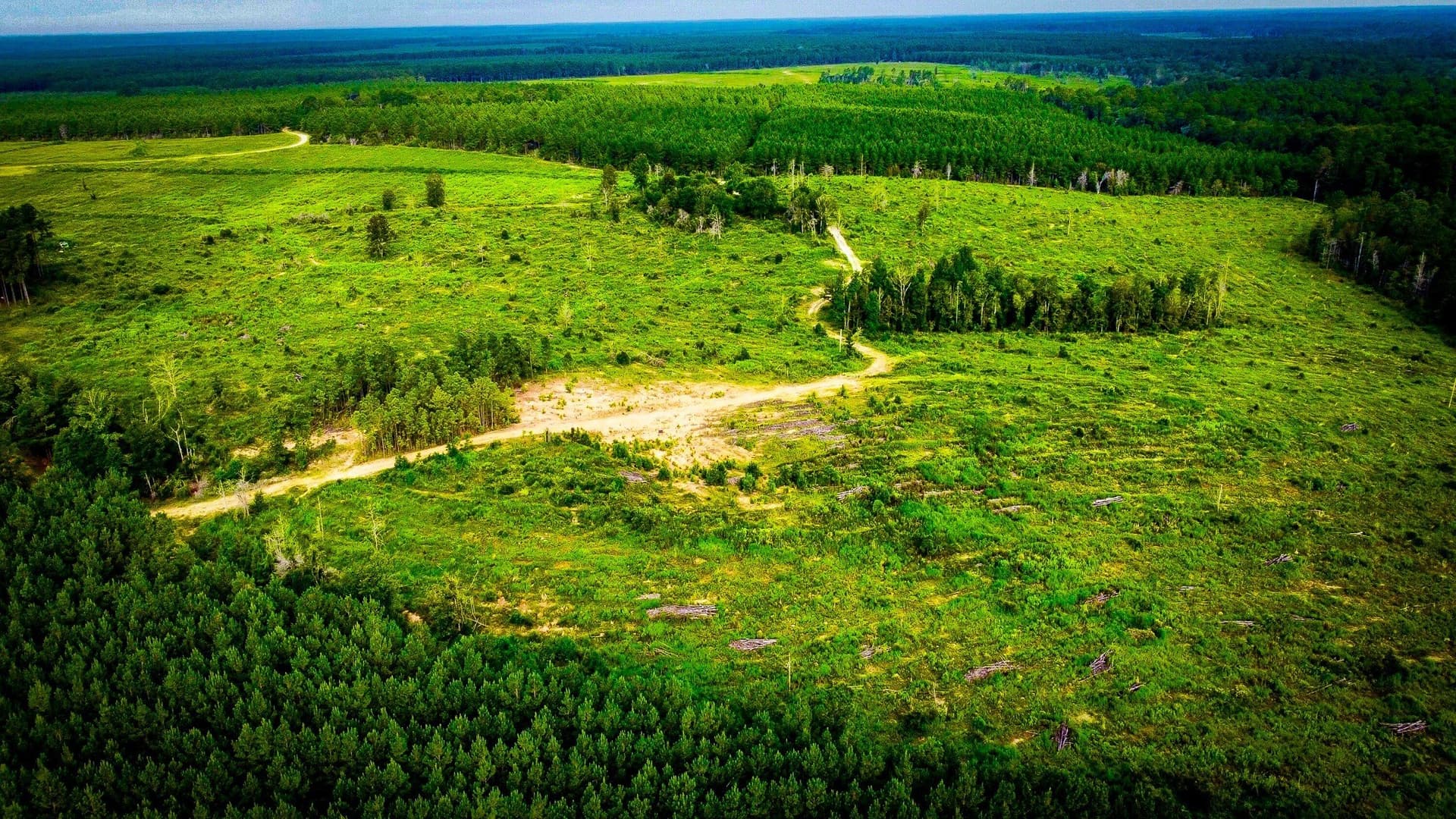 148 acres in Polk County - photo 20