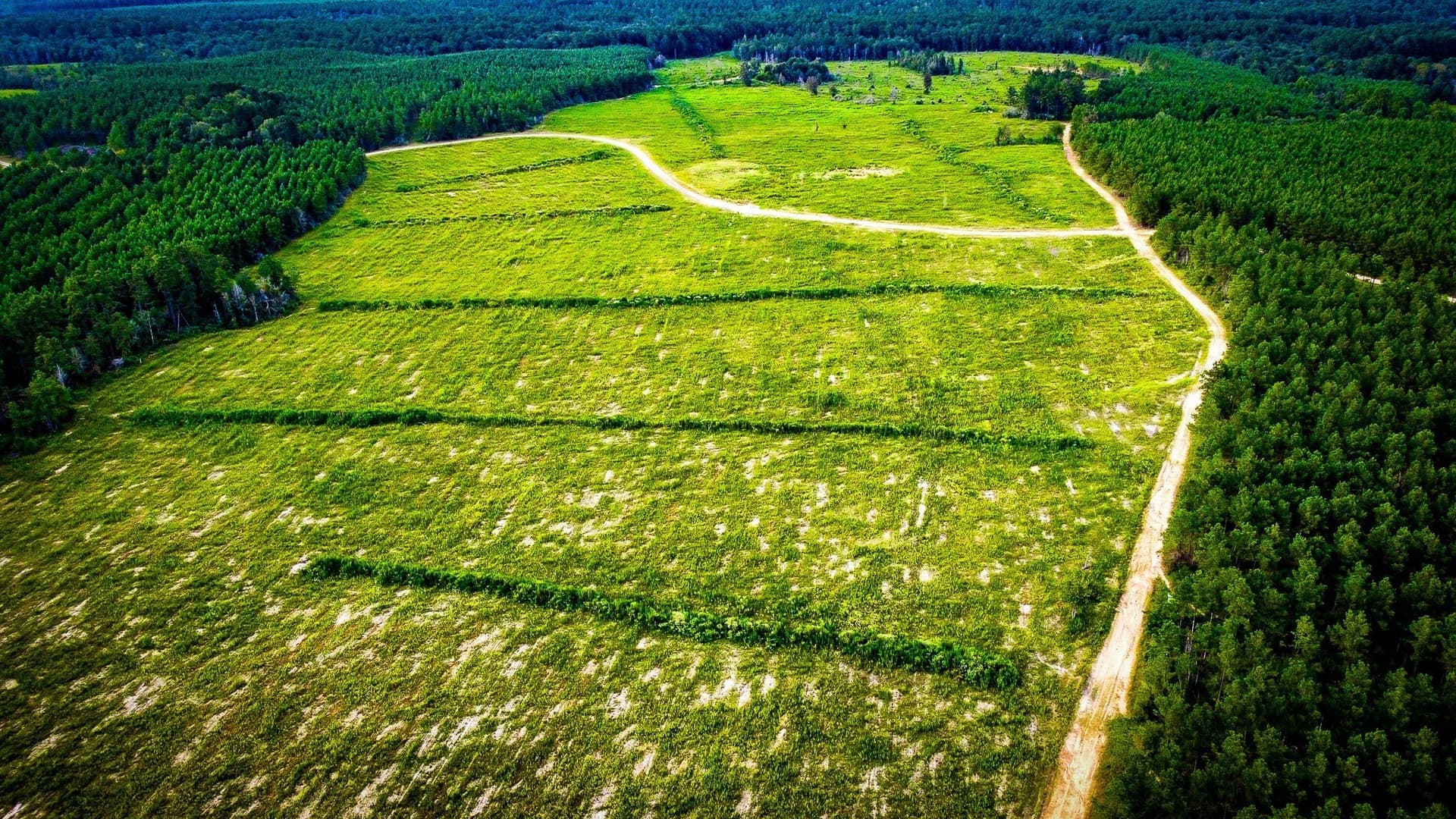 148 acres in Polk County - photo 3