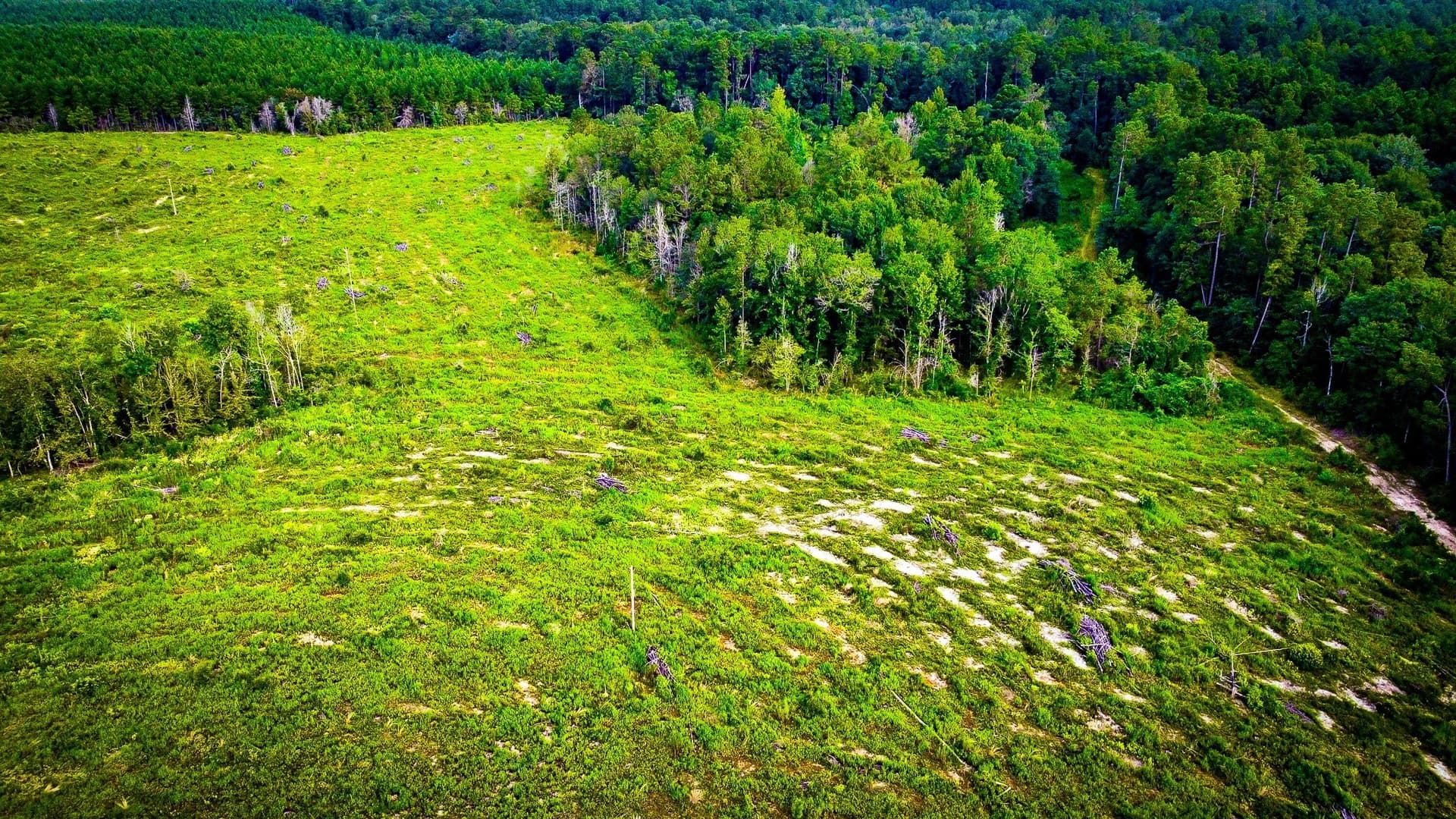 148 acres in Polk County - photo 24