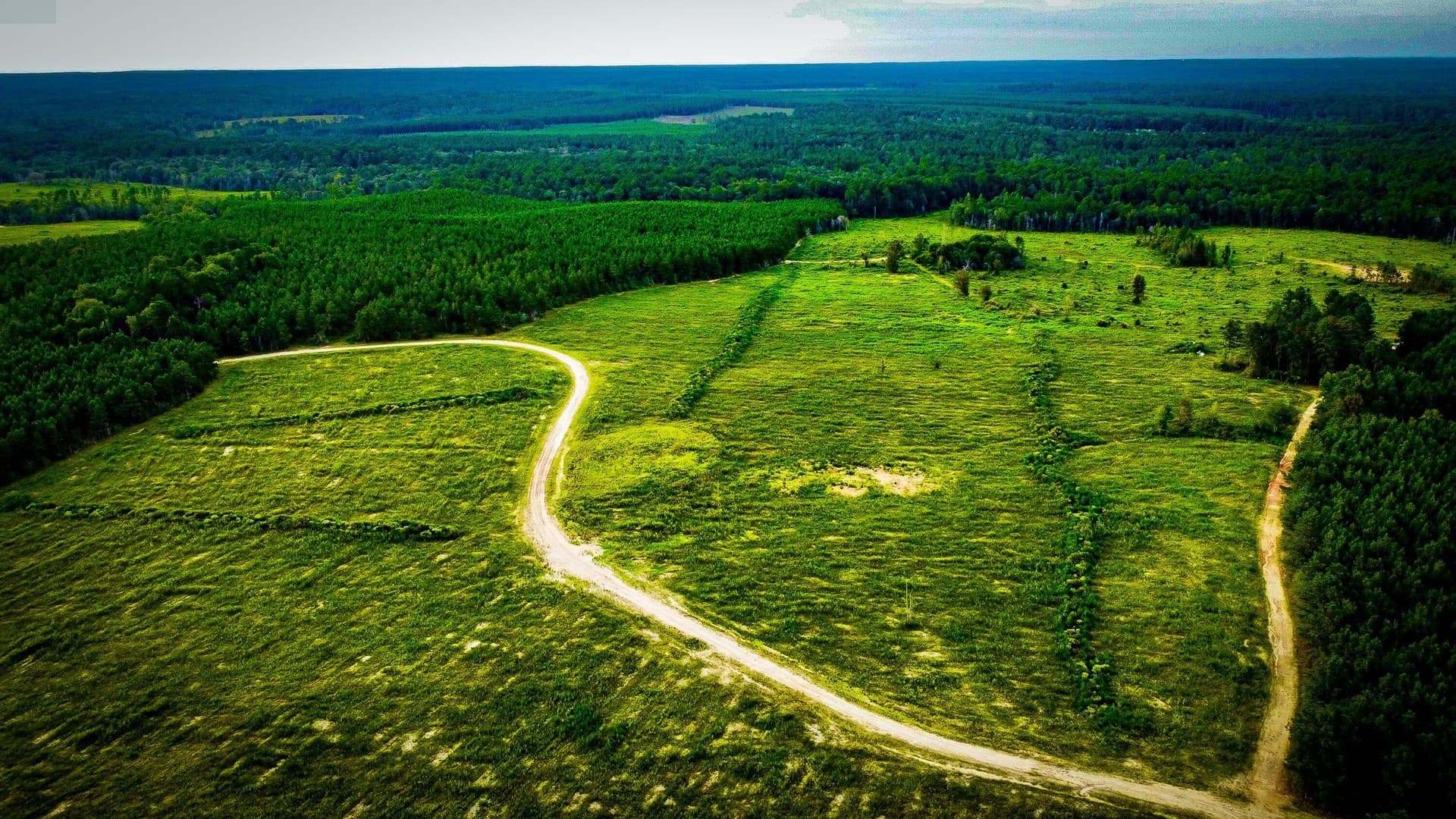 148 acres in Polk County - photo 4