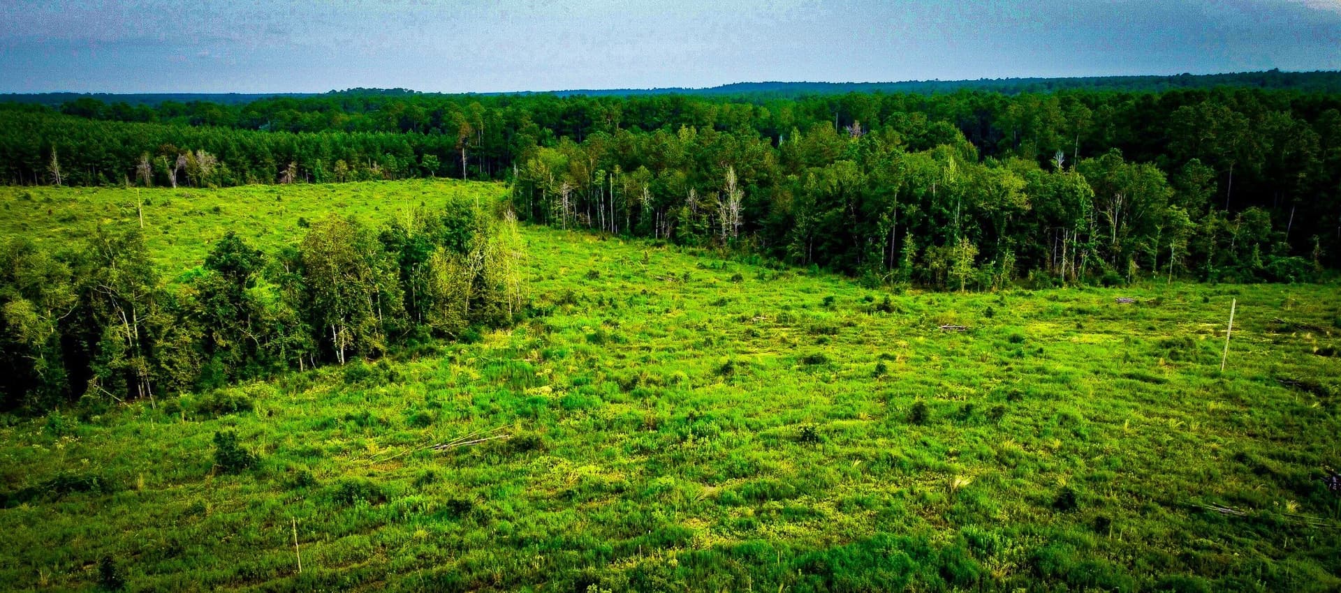 148 acres in Polk County - photo 29