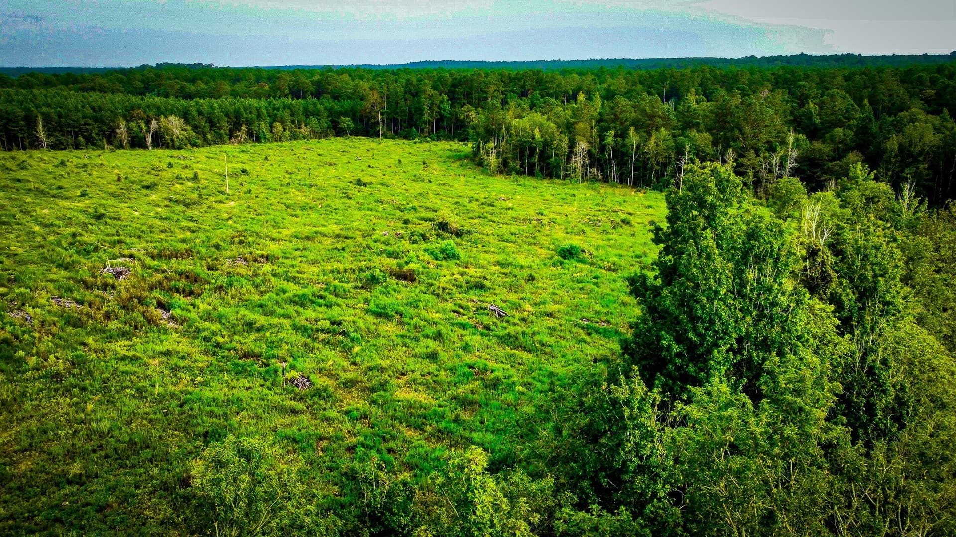 148 acres in Polk County - photo 32