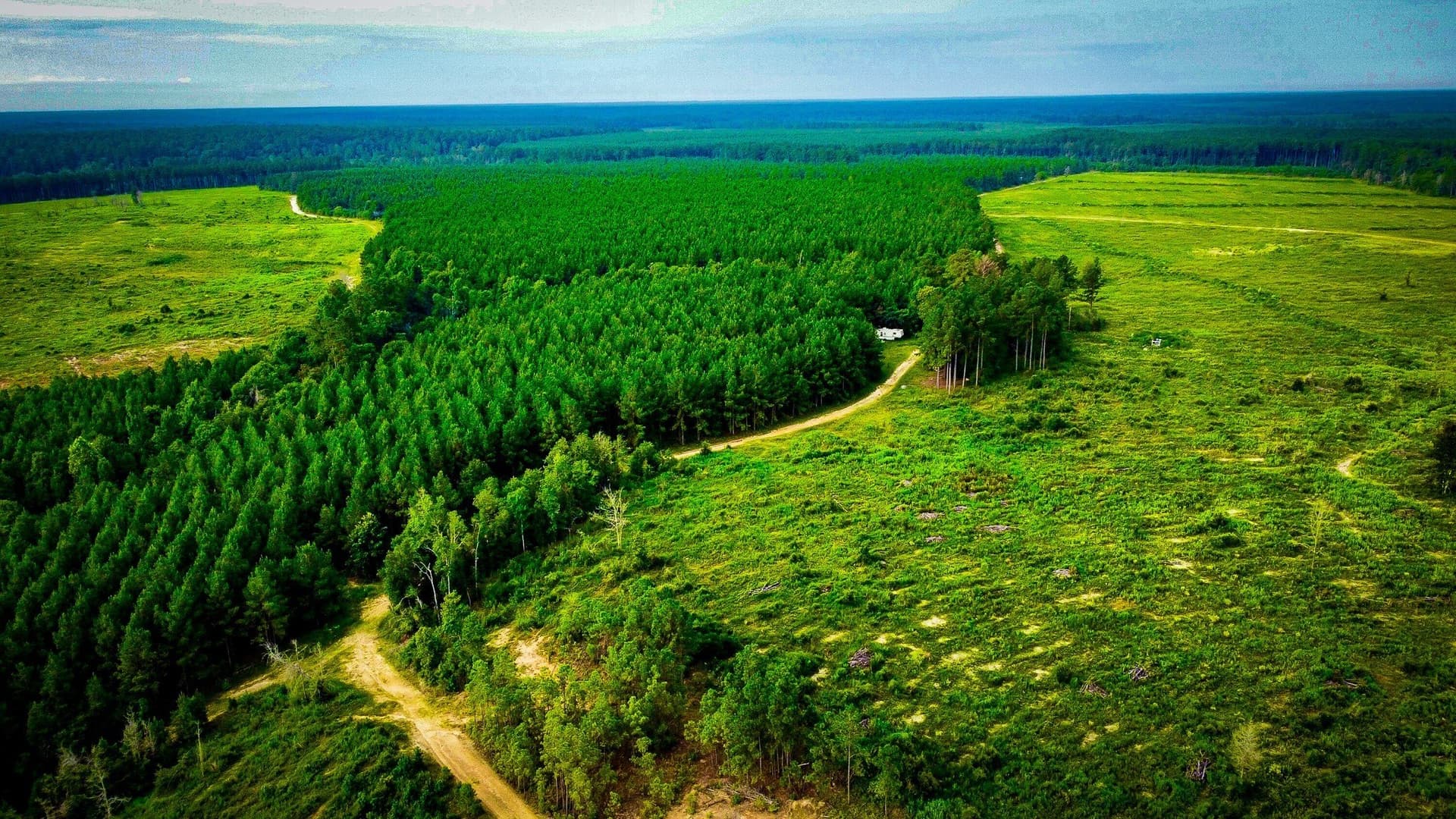 148 acres in Polk County - photo 23