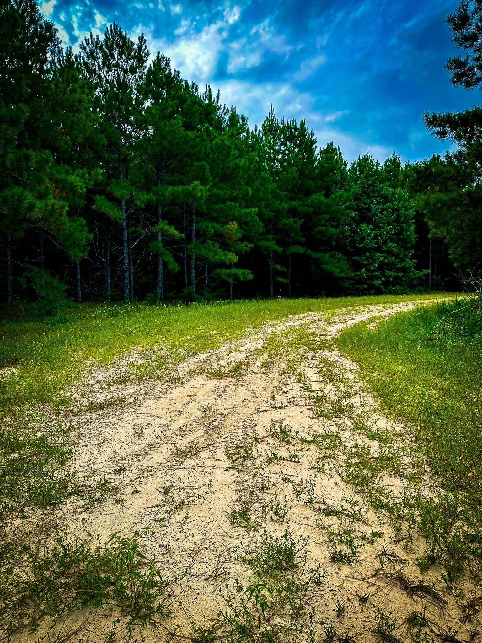 148 acres in Polk County - photo 35