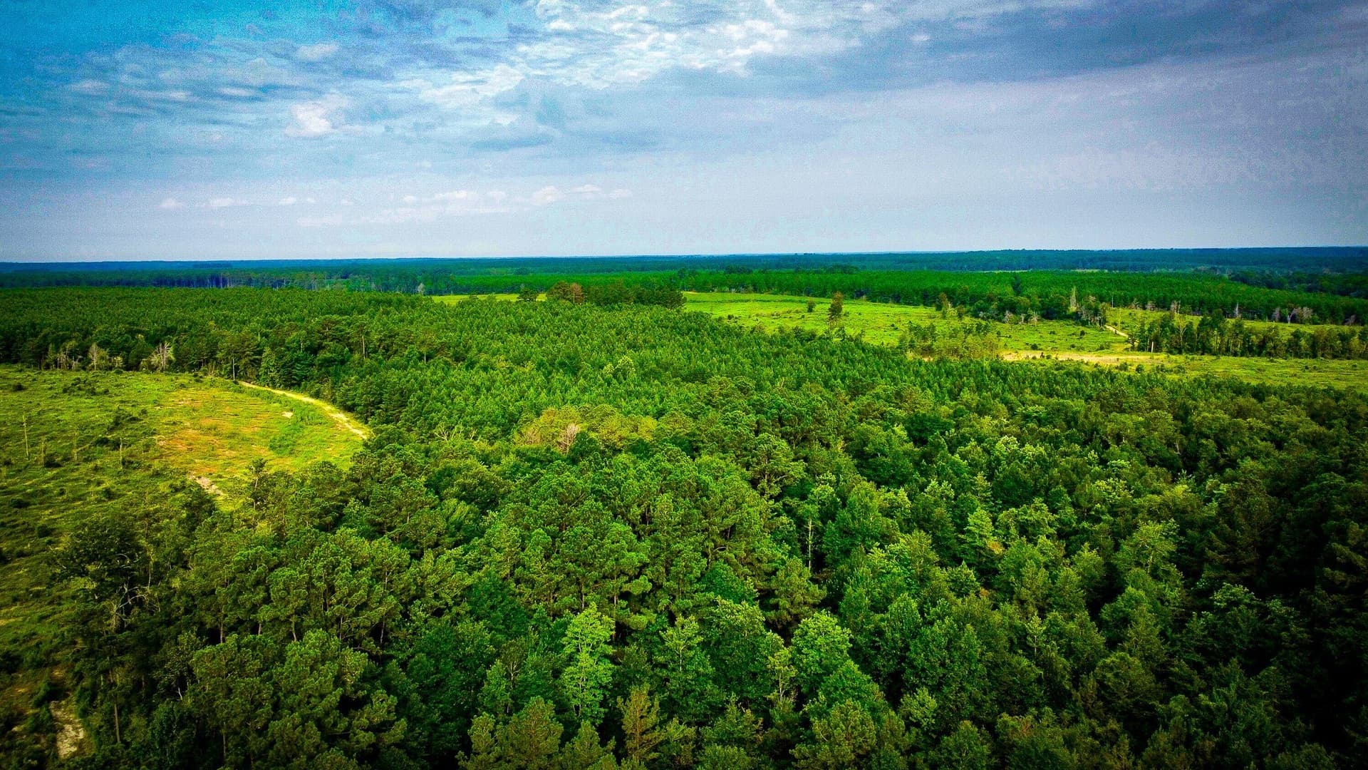 148 acres in Polk County - photo 12