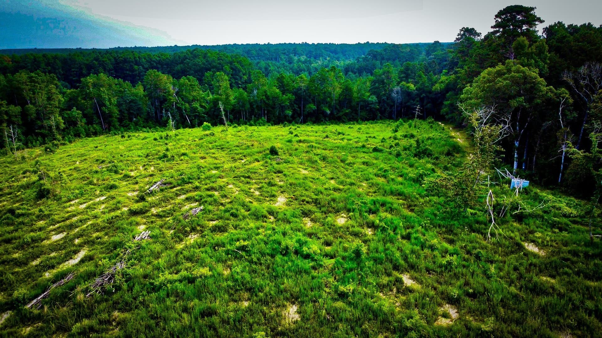 148 acres in Polk County - photo 11