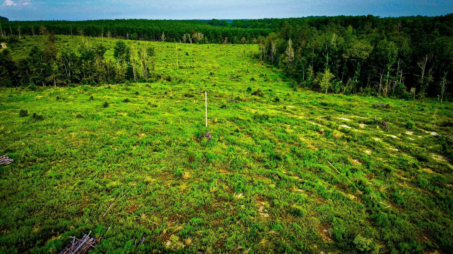 148 acres in Polk County - photo 27