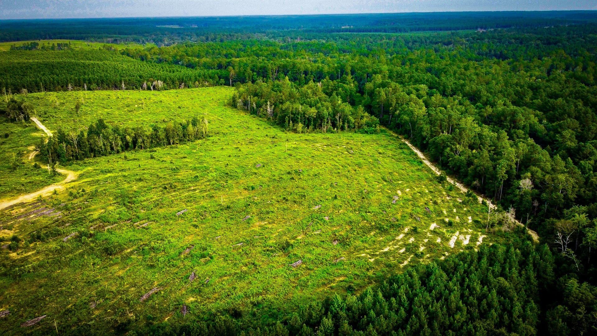 148 acres in Polk County - photo 18