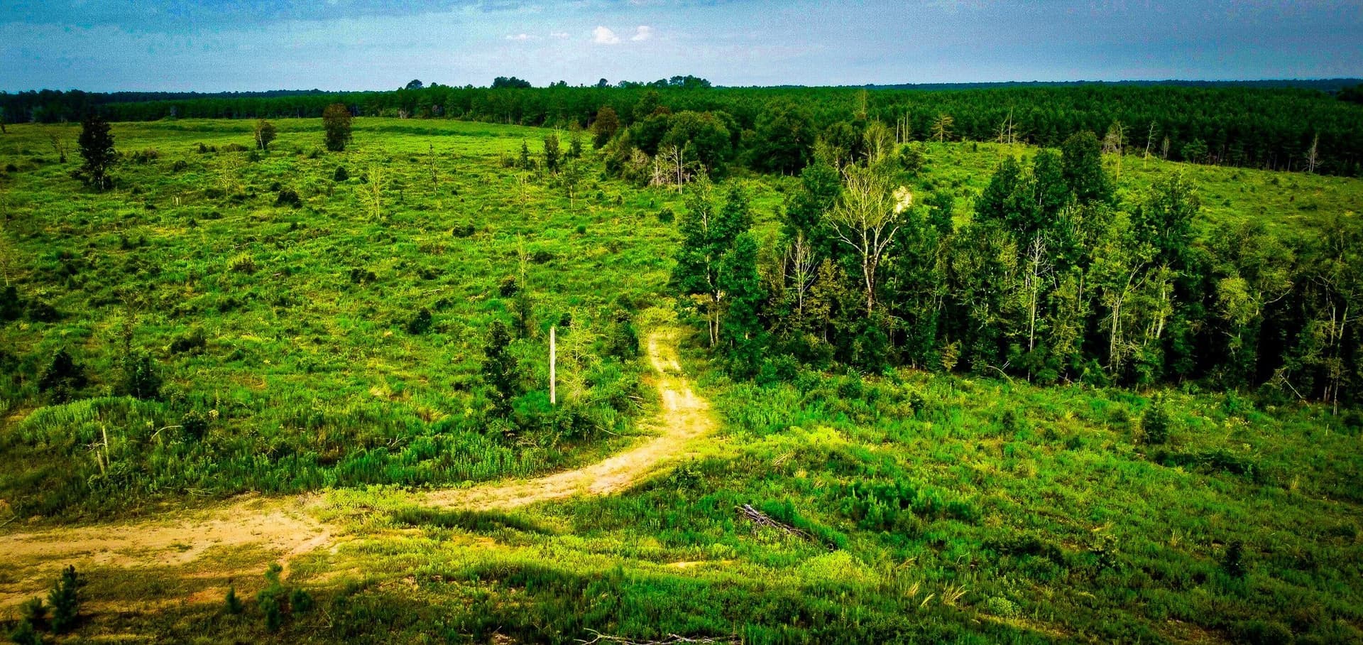 148 acres in Polk County - photo 5