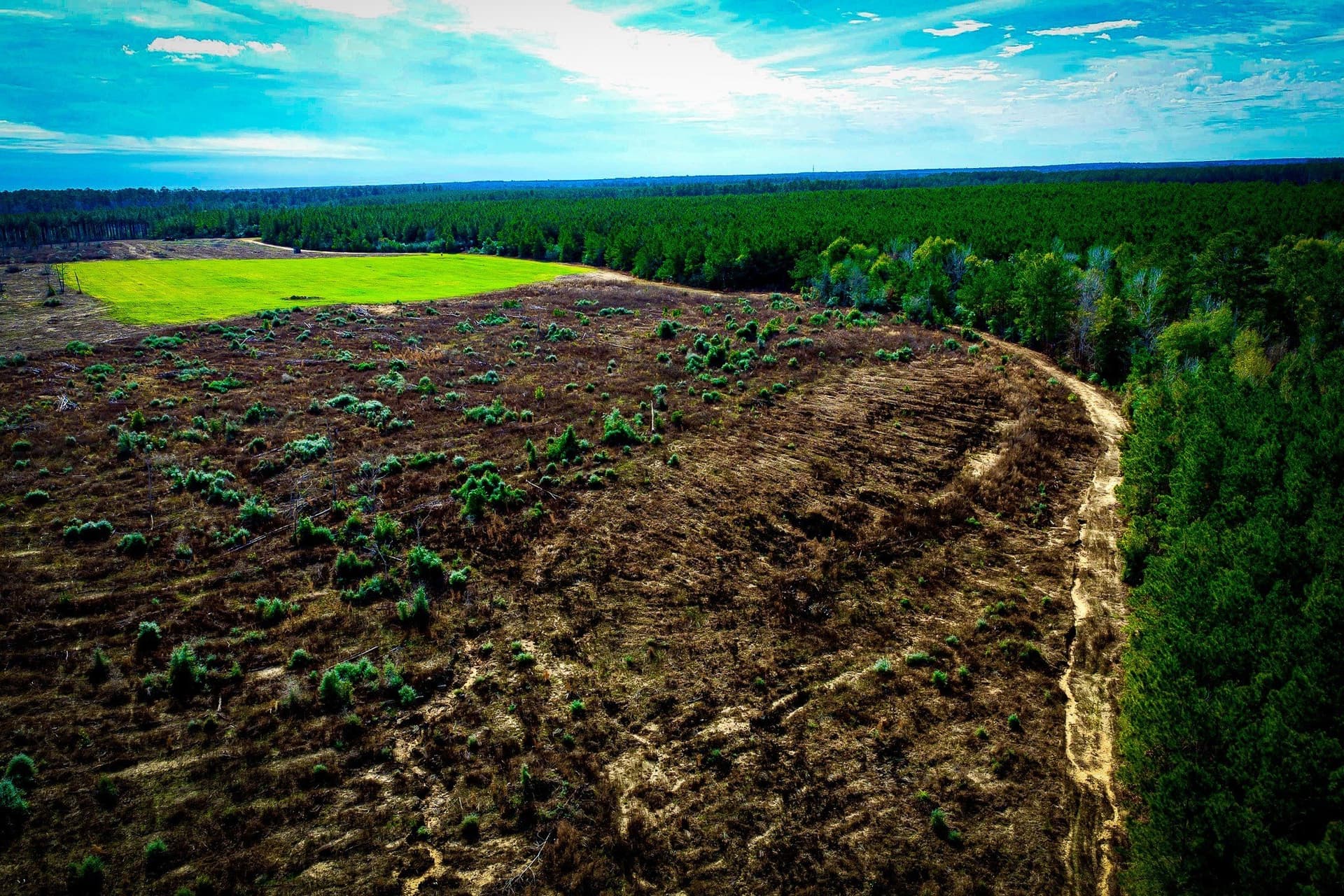 148 acres in Polk County - photo 19
