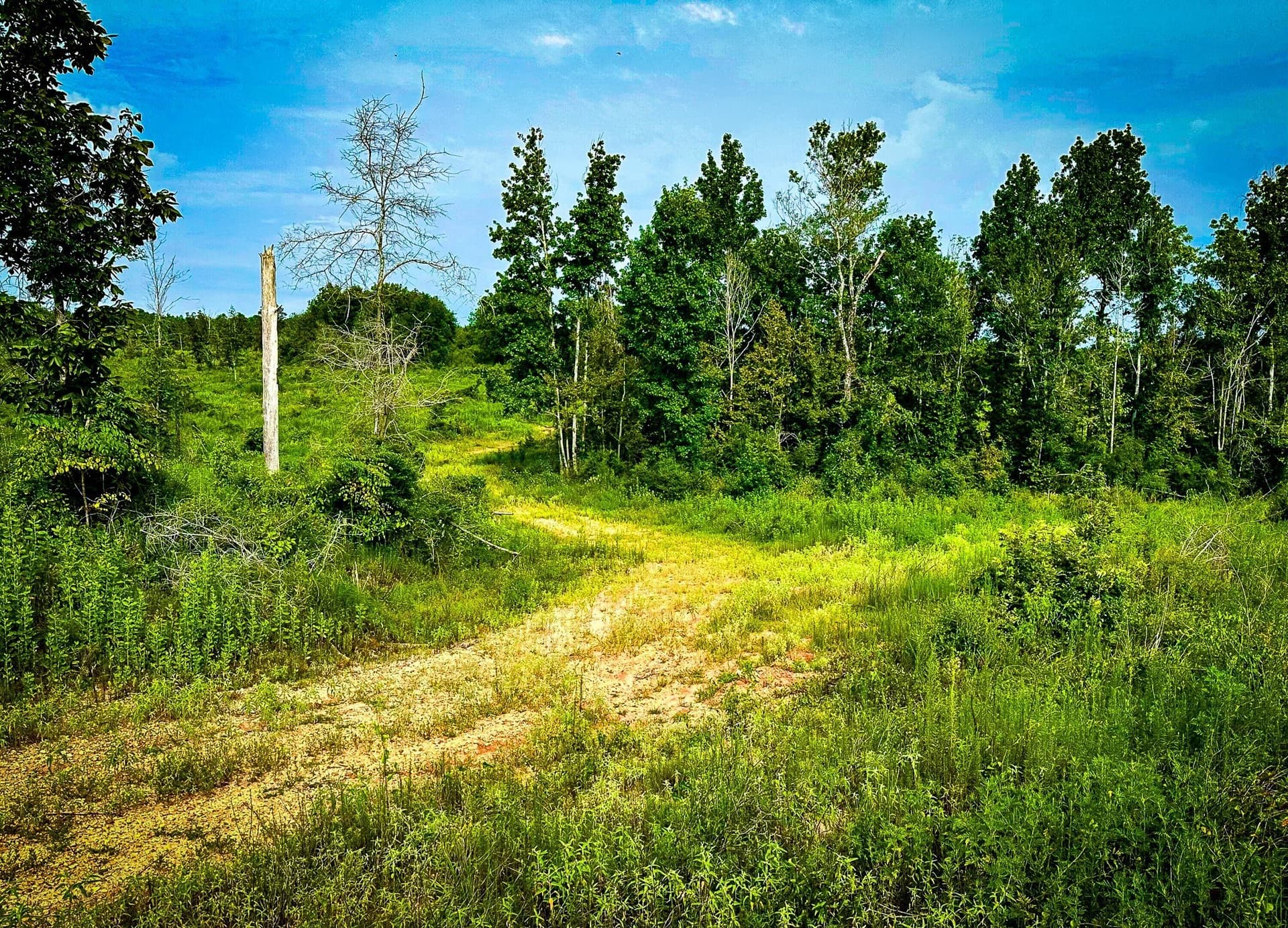 148 acres in Polk County - photo 2