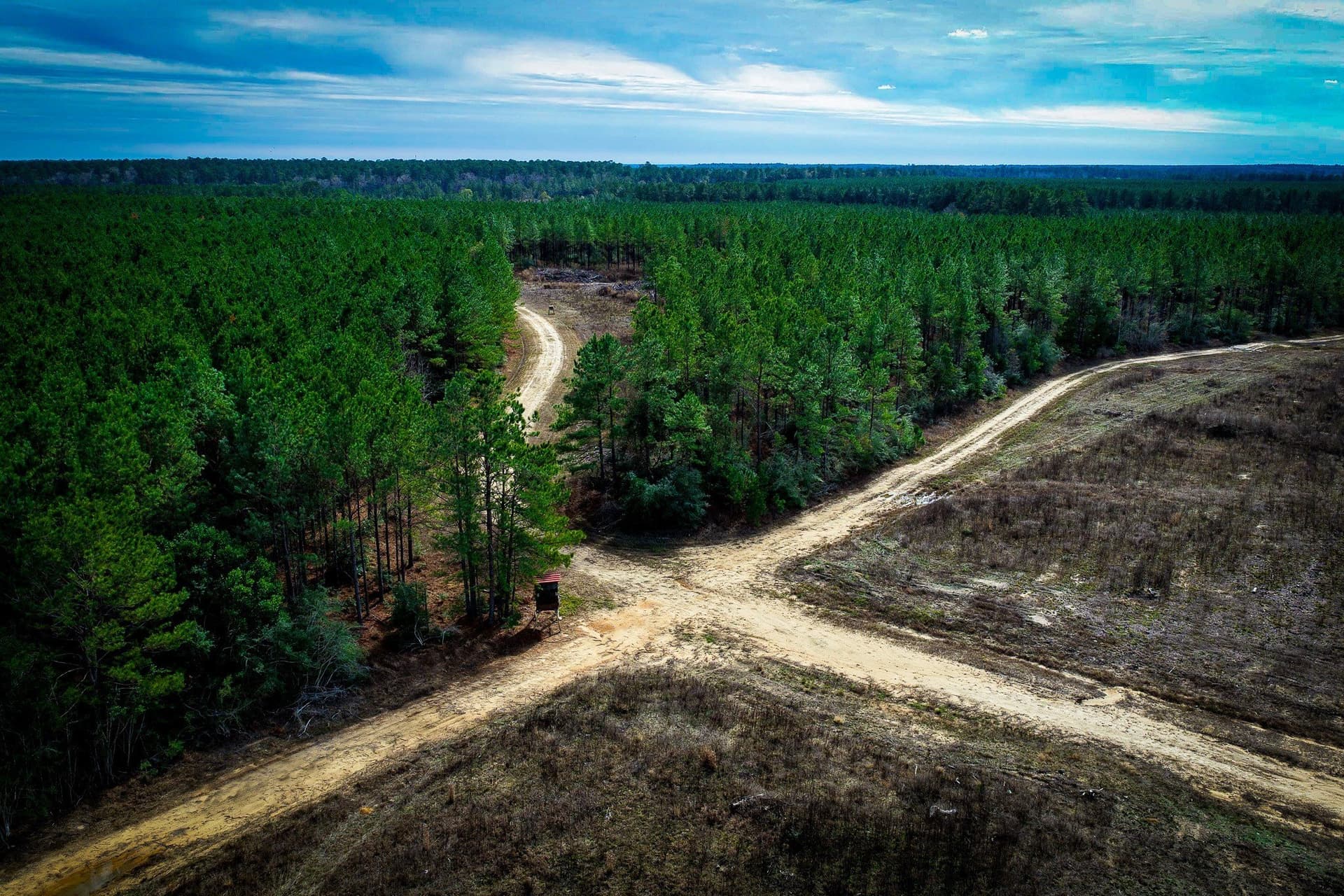 148 acres in Polk County - photo 13