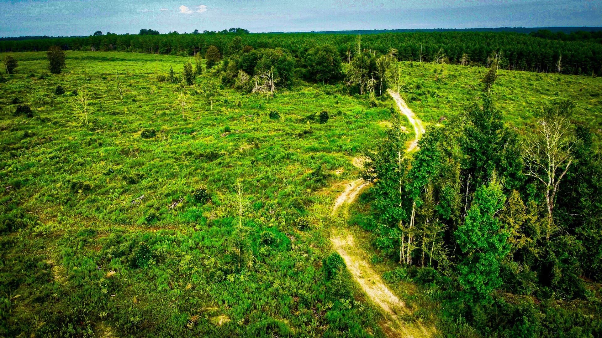 148 acres in Polk County - photo 31