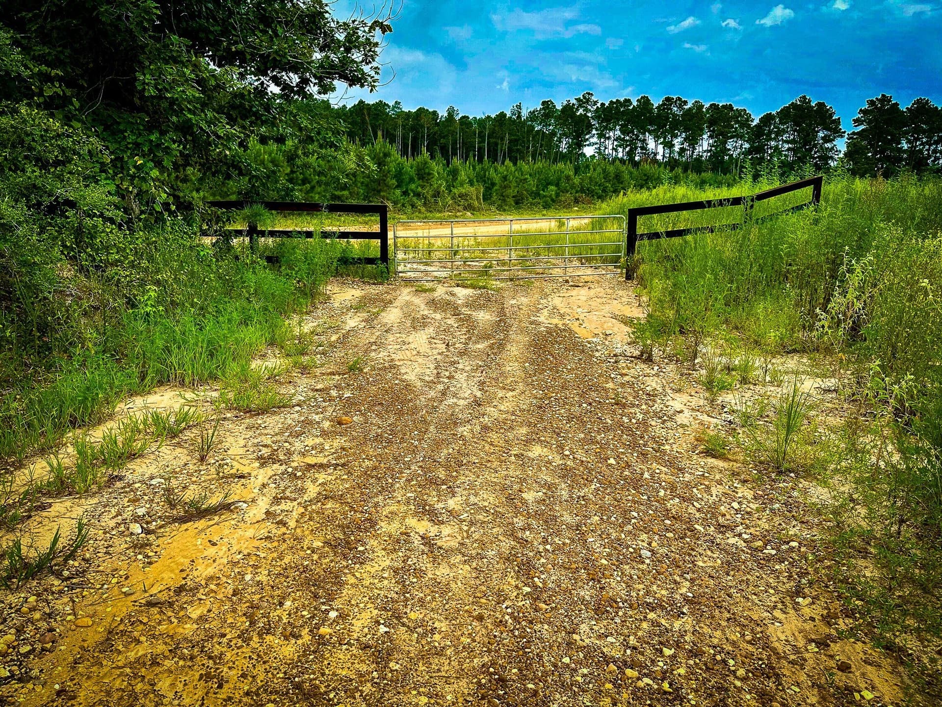 148 acres in Polk County - photo 40