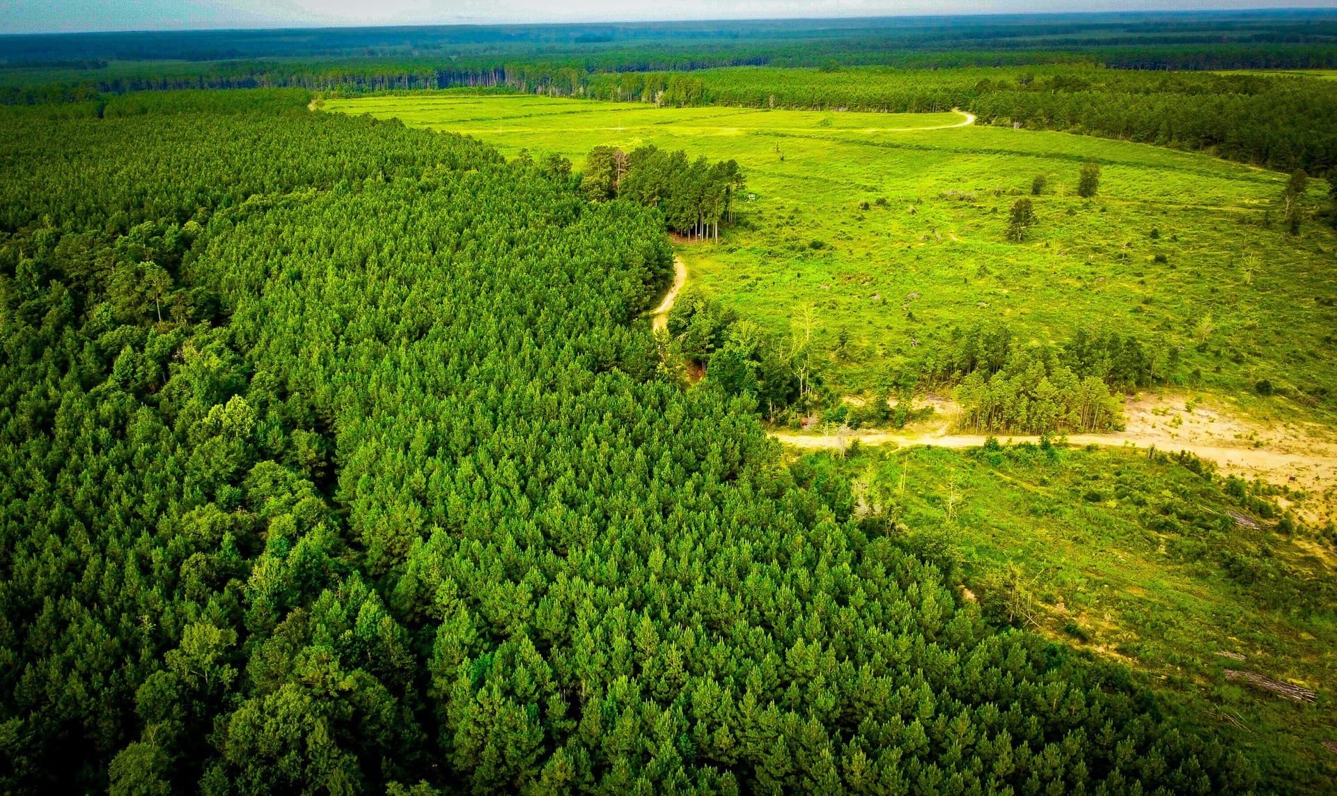 148 acres in Polk County - photo 21