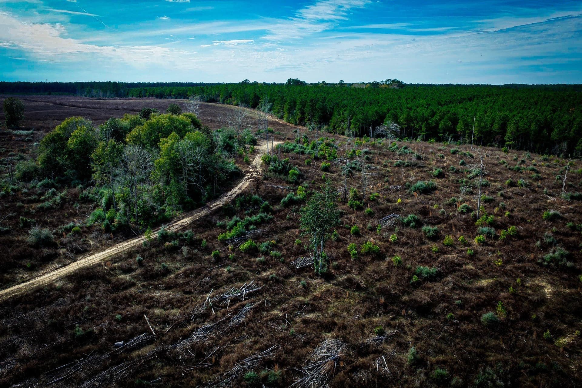 148 acres in Polk County - photo 30