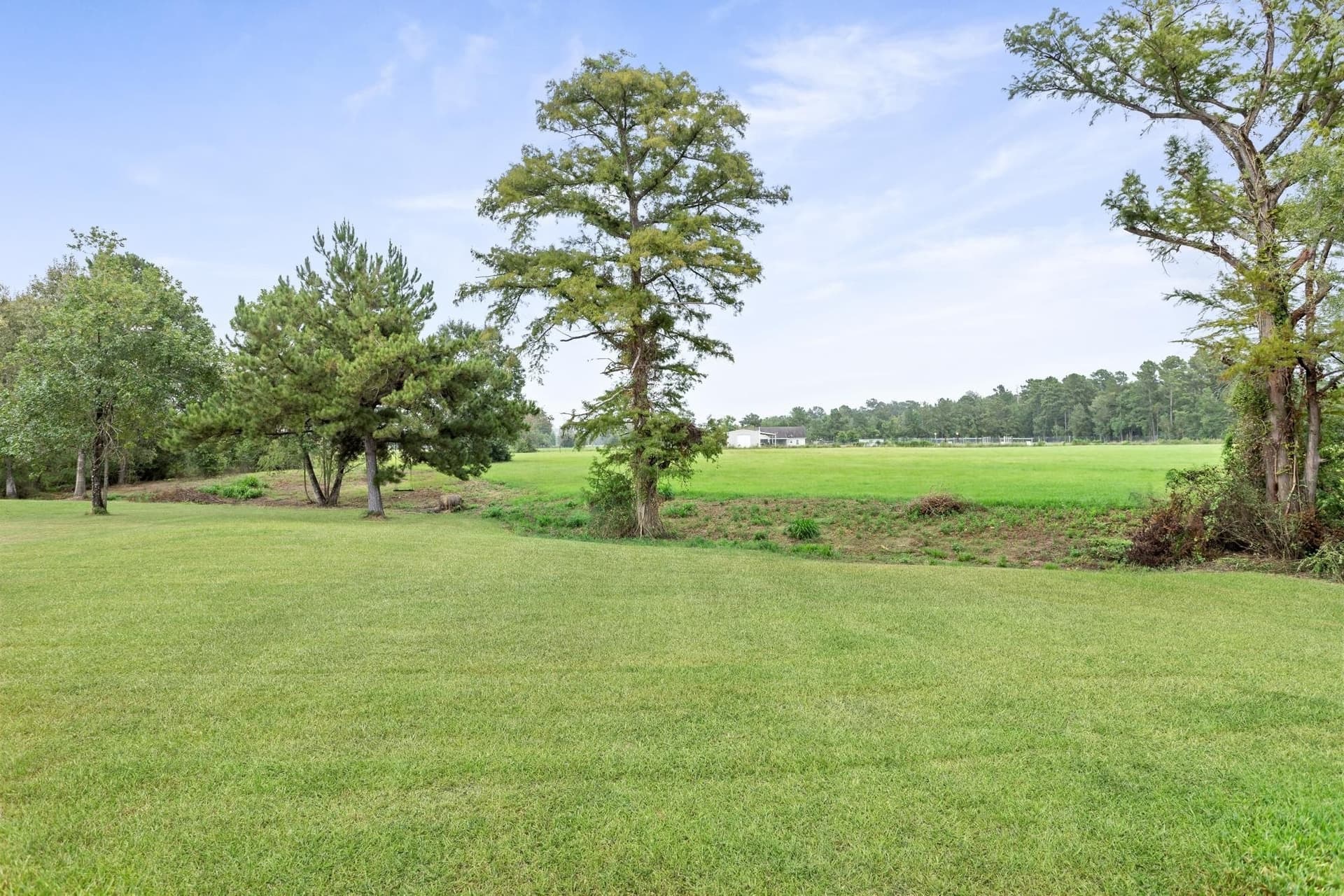 15.32 acres in Texas County - photo 37
