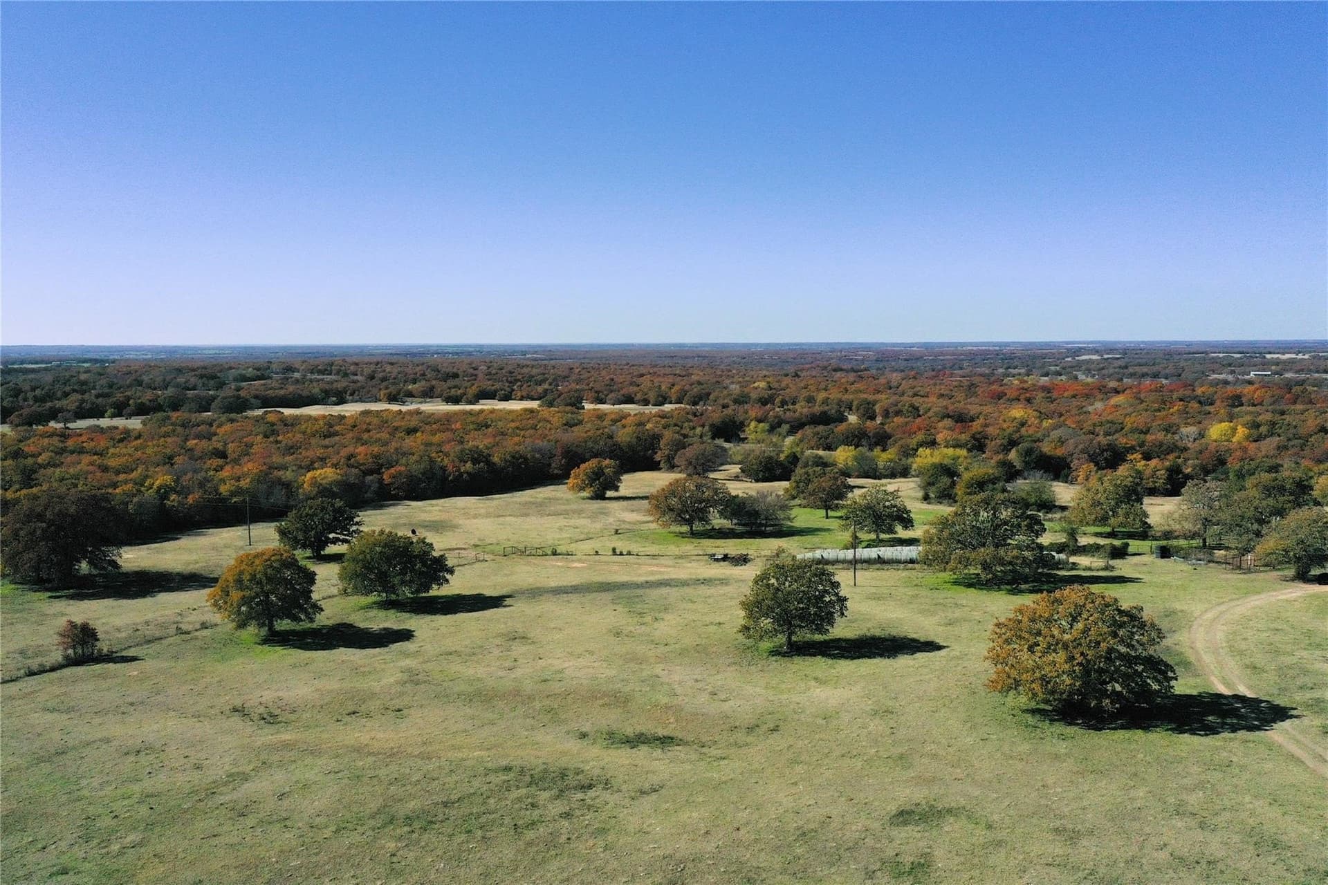 177 acres in Montague County - photo 2