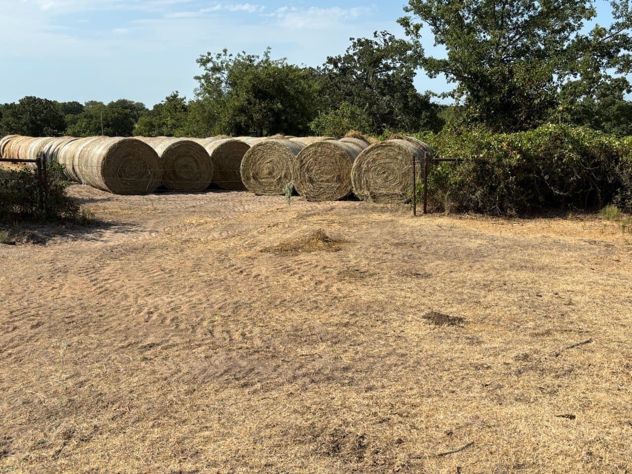 177 acres in Montague County - photo 4