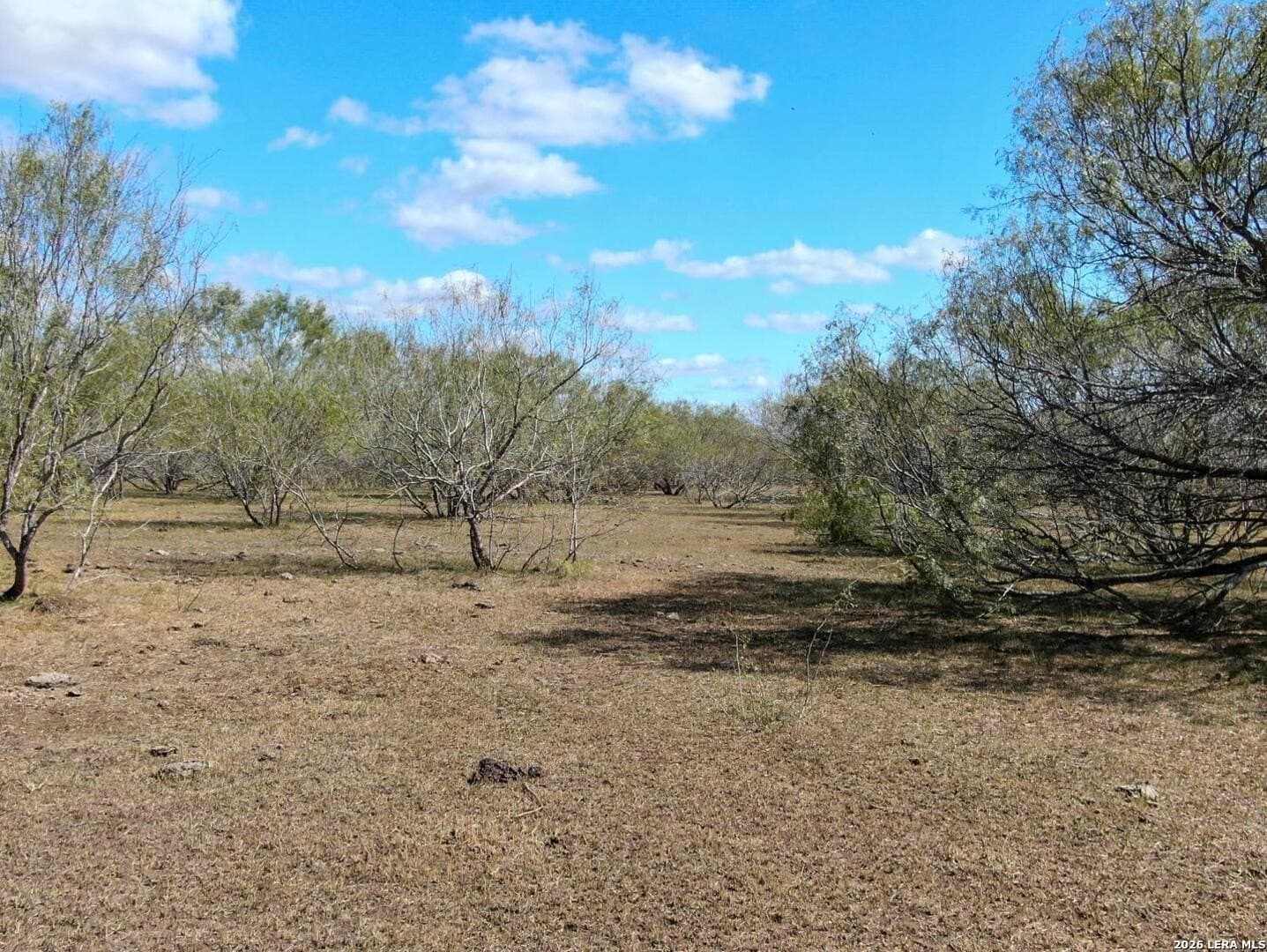 12 acres in Wilson County - photo 12