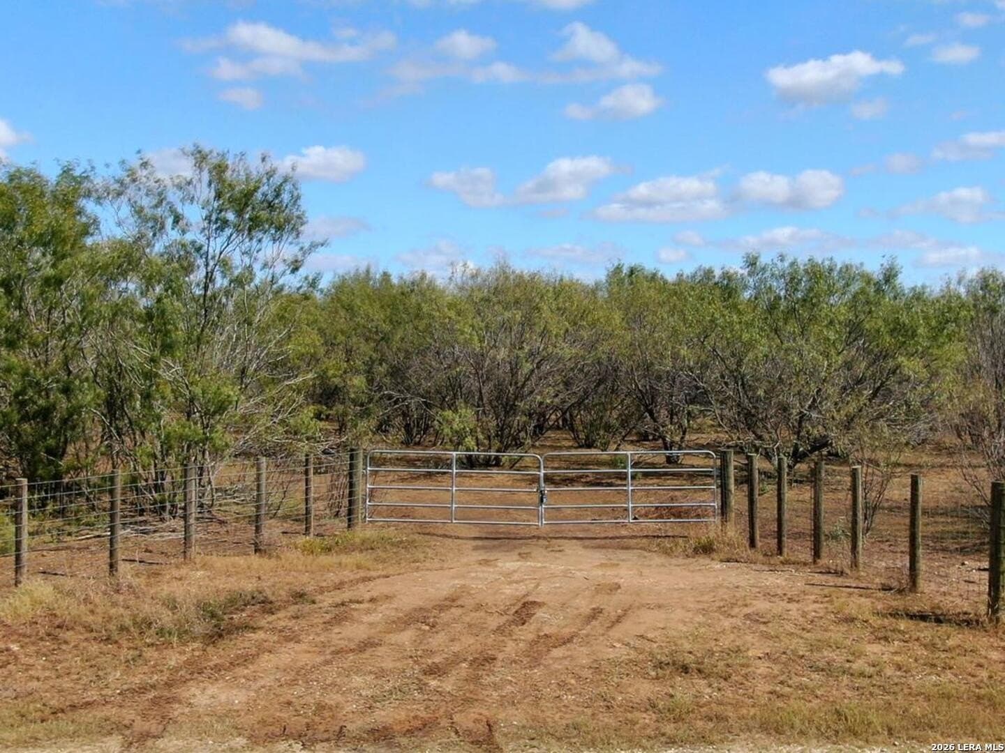 12 acres in Wilson County - photo 7