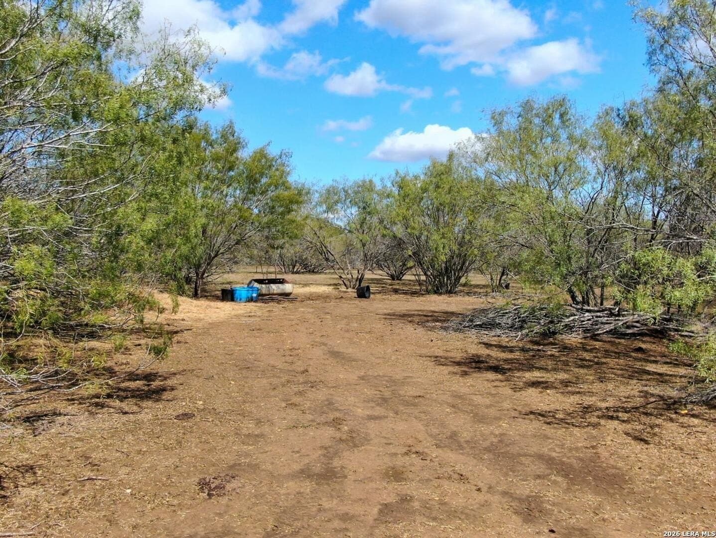 12 acres in Wilson County - photo 11