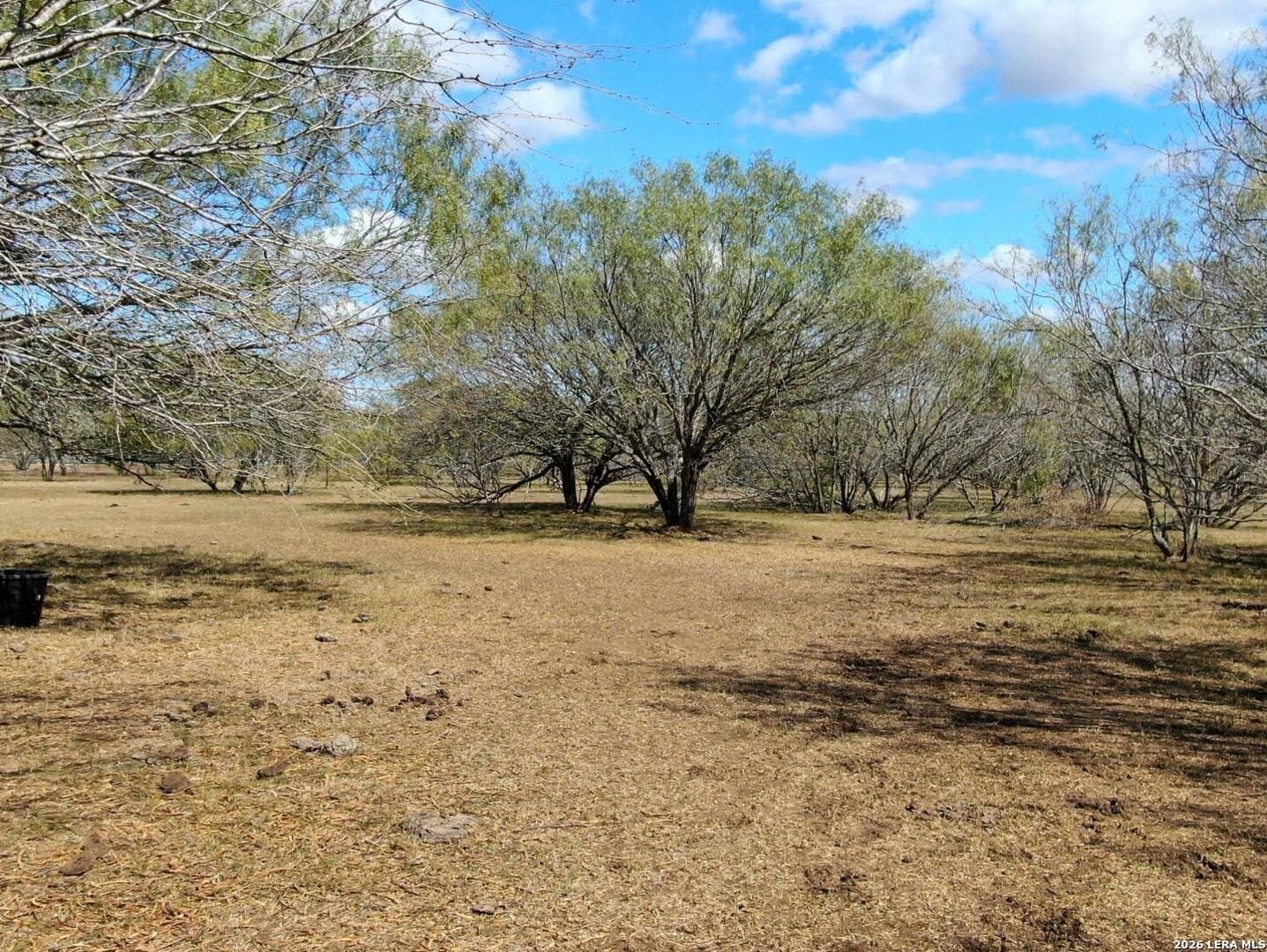 12 acres in Wilson County - photo 6