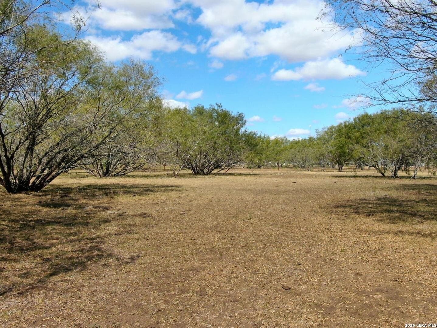 12 acres in Wilson County - photo 9
