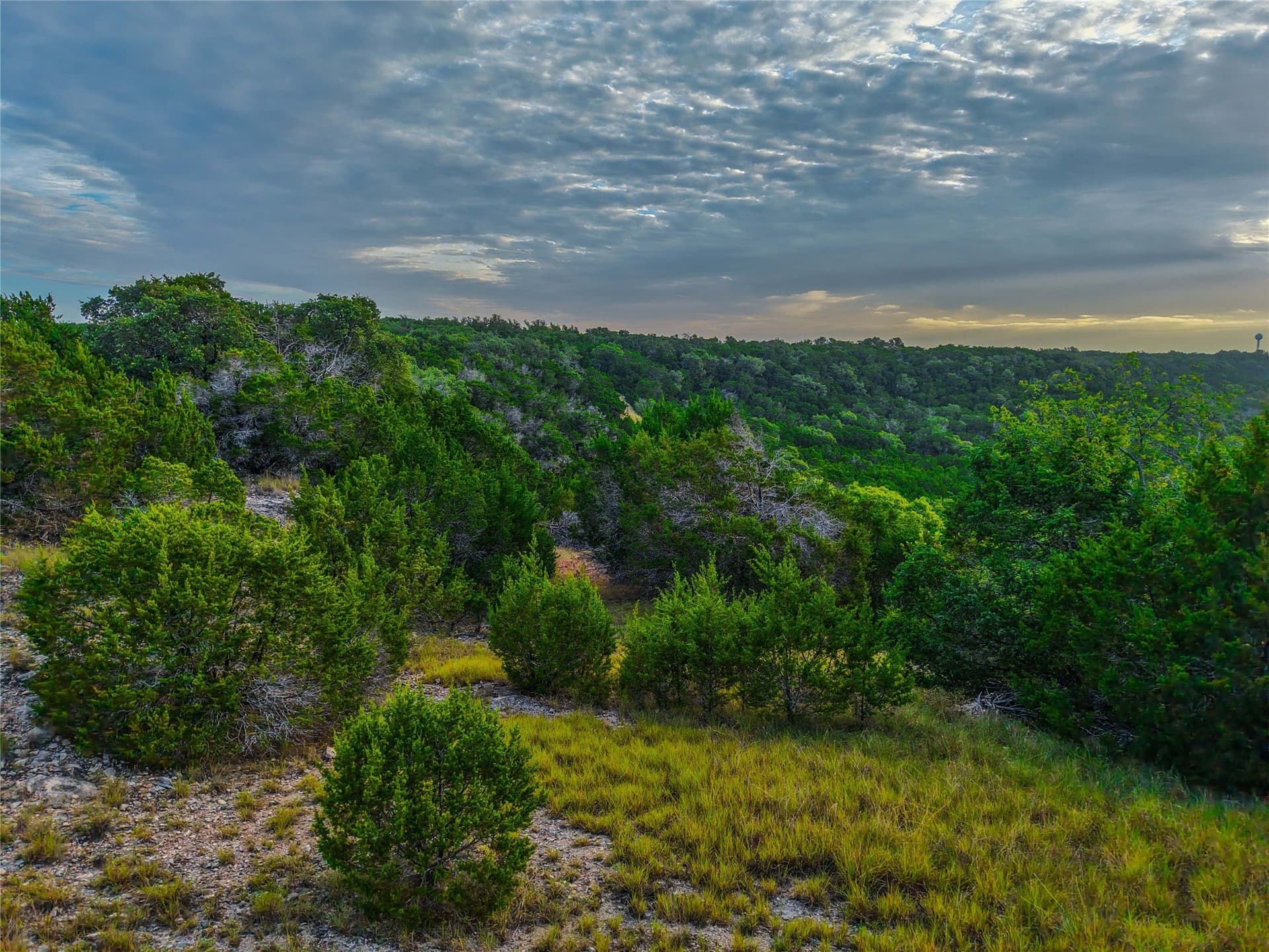 42.72 acres in Bell County - photo 5